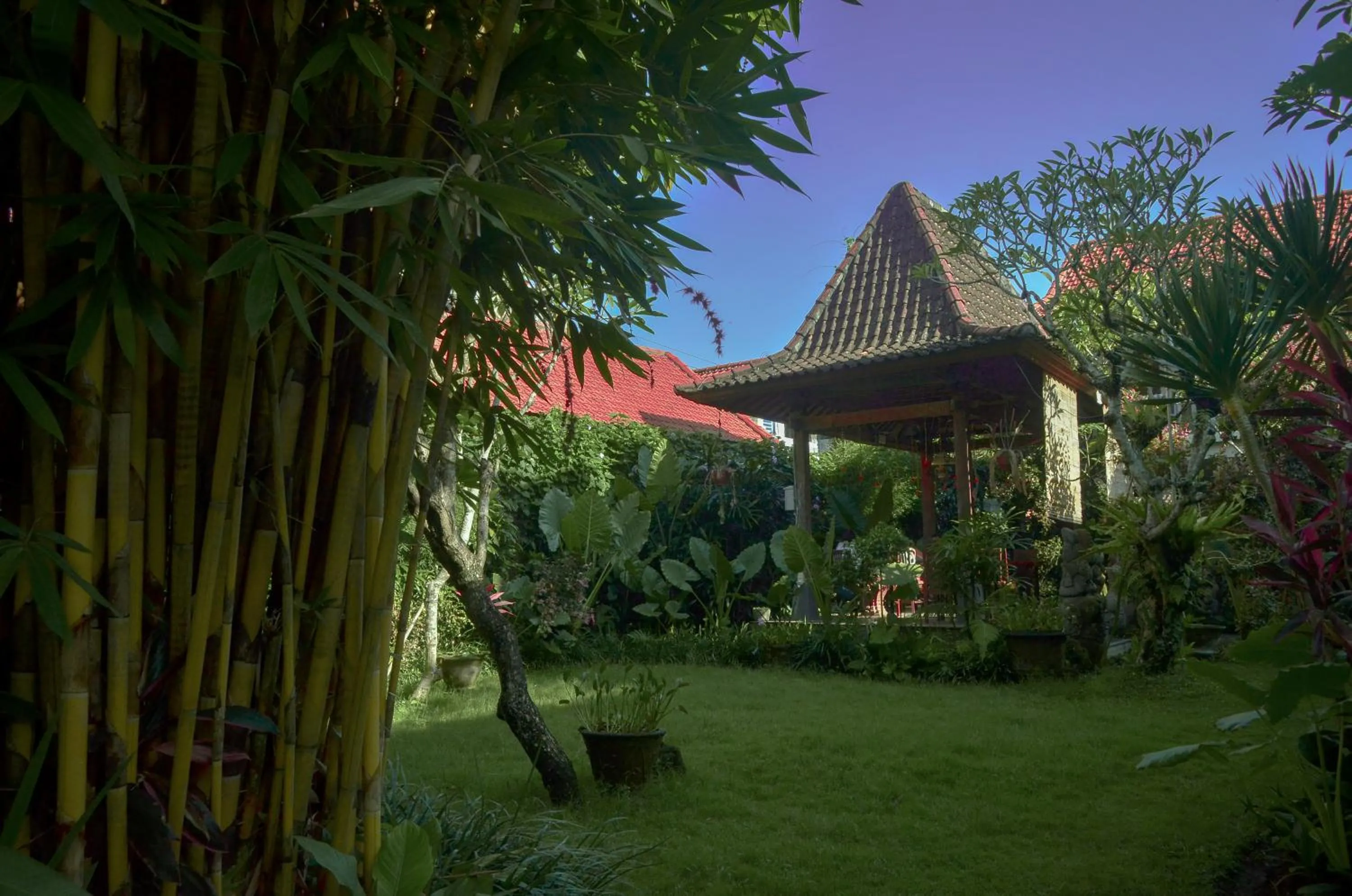 Garden in Bumi Muwa Ubud at Monkey Forest