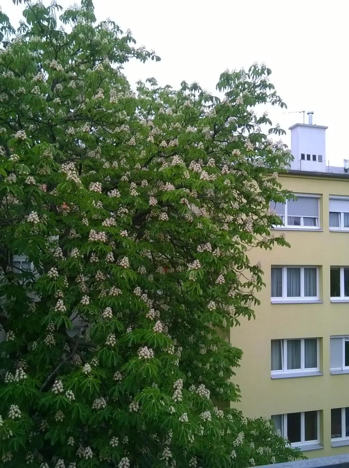 Property building in Westend City Hostel