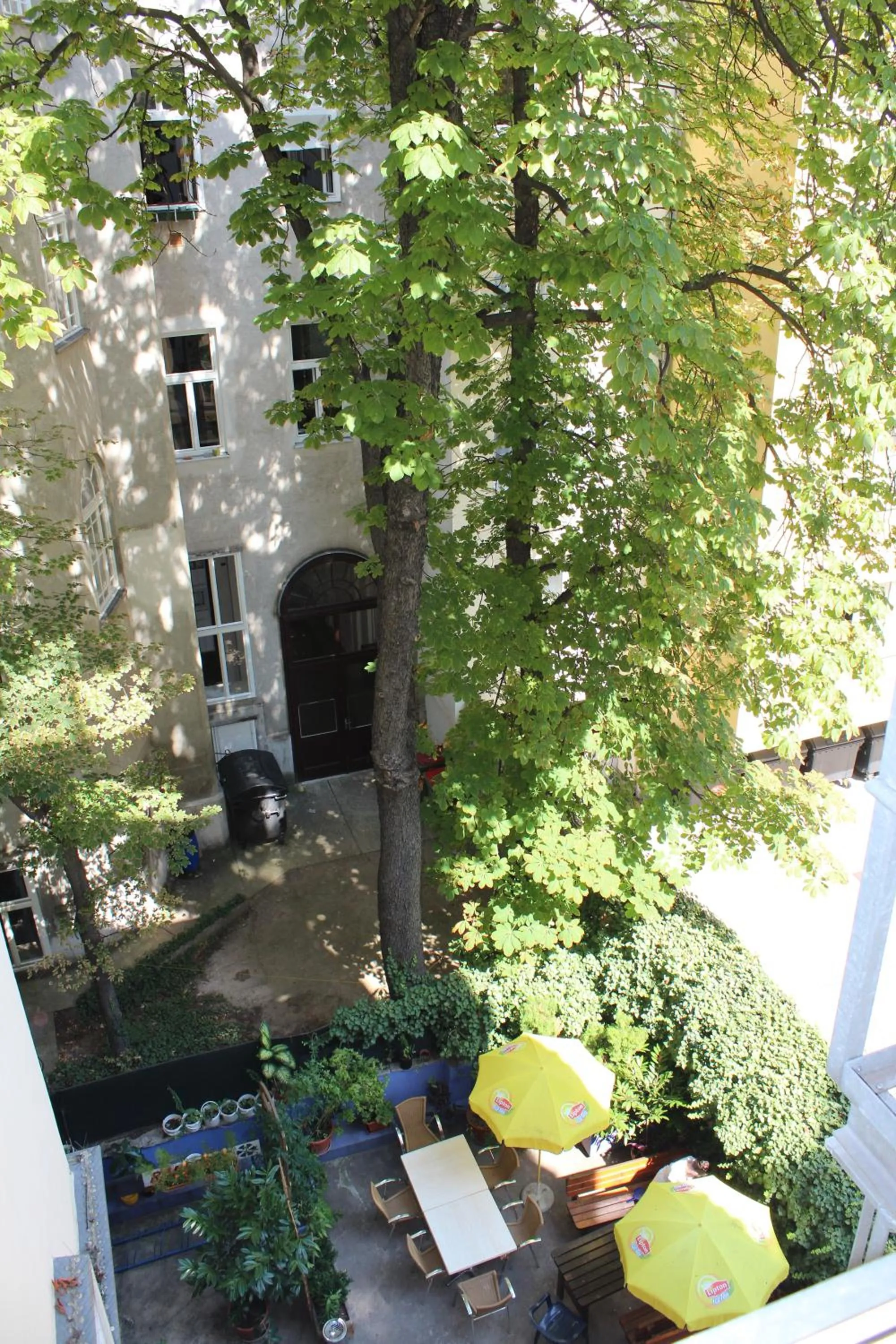 Garden in Westend City Hostel