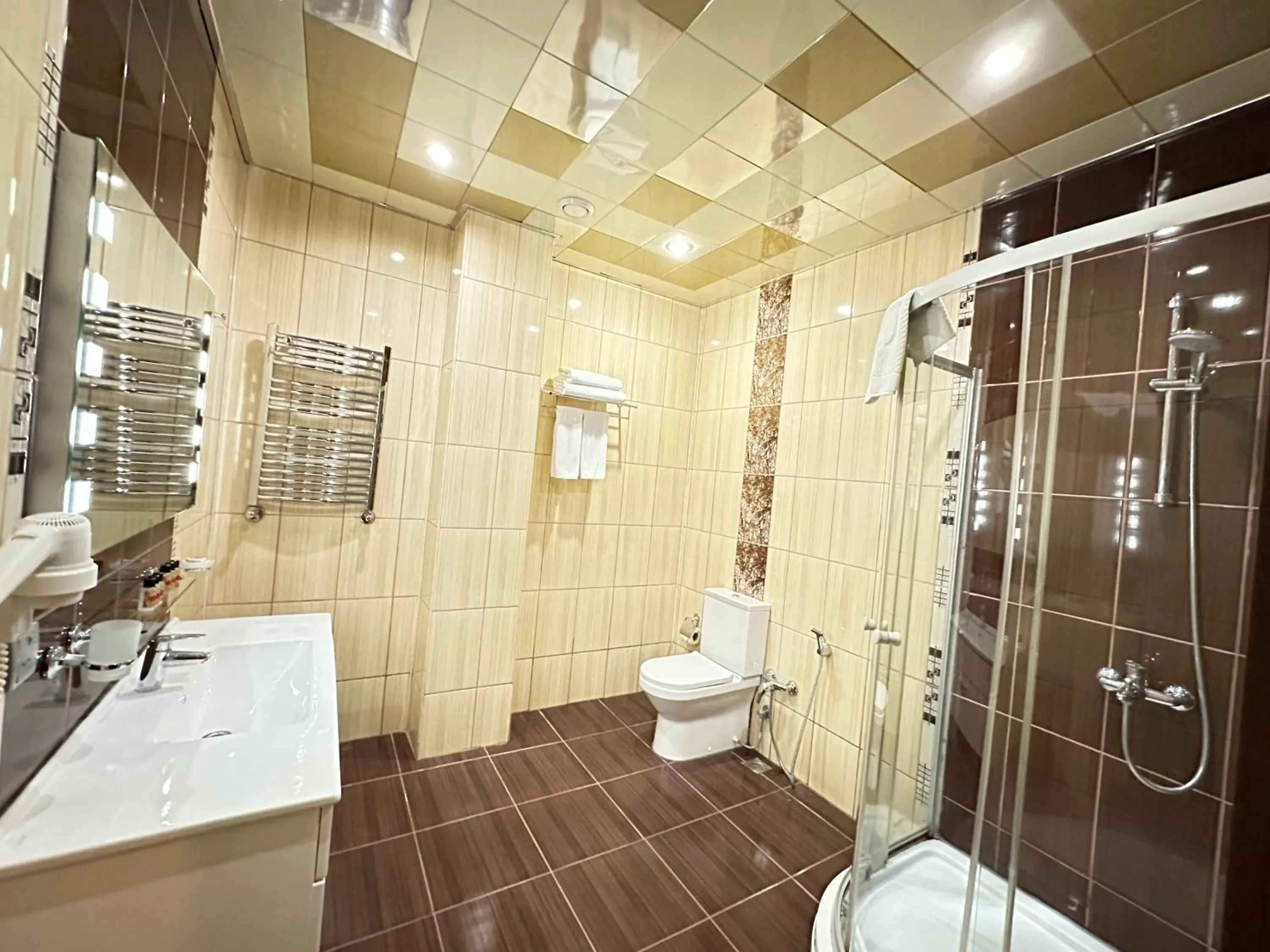 Toilet in Modern Hotel Baku