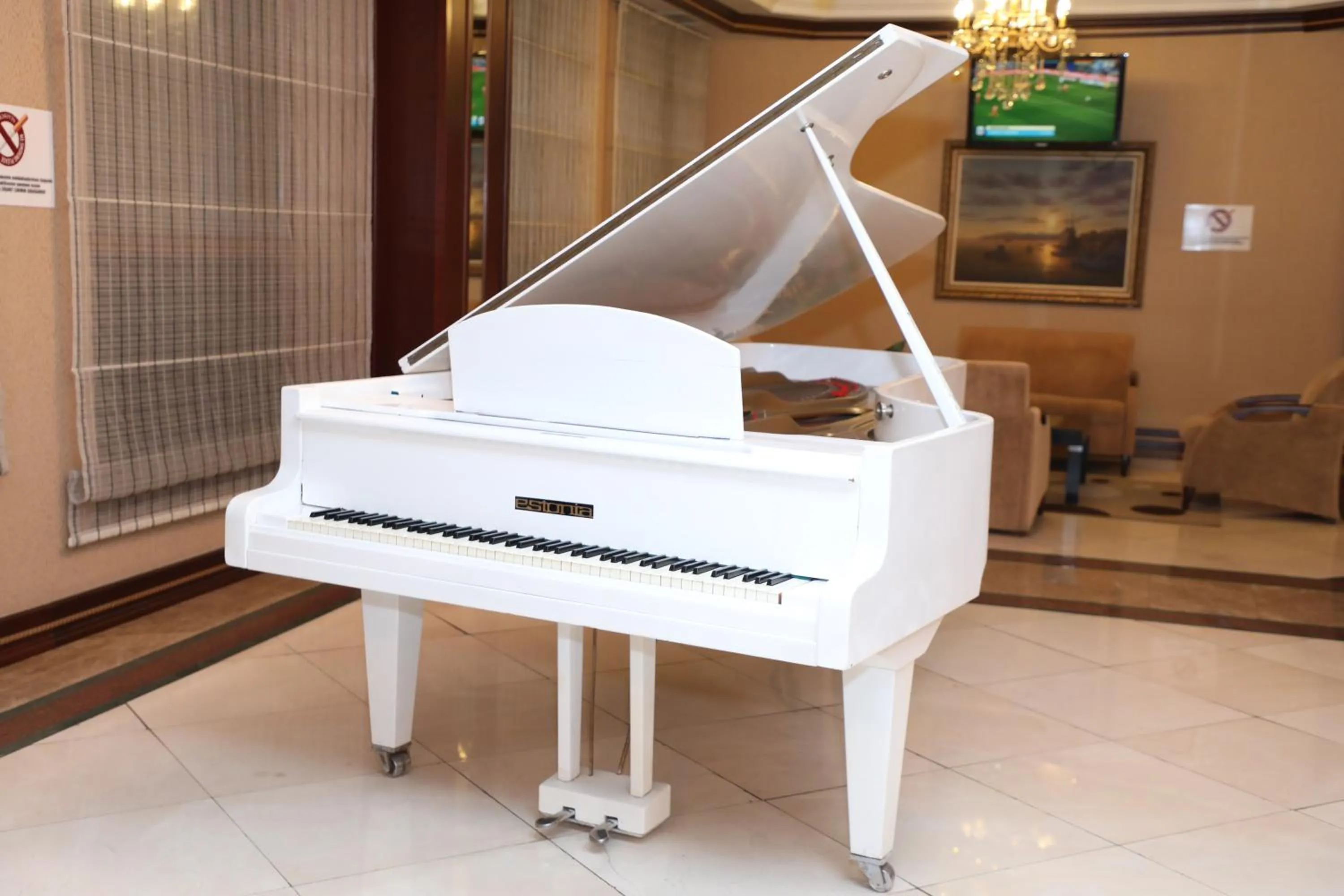 Entertainment in Modern Hotel Baku