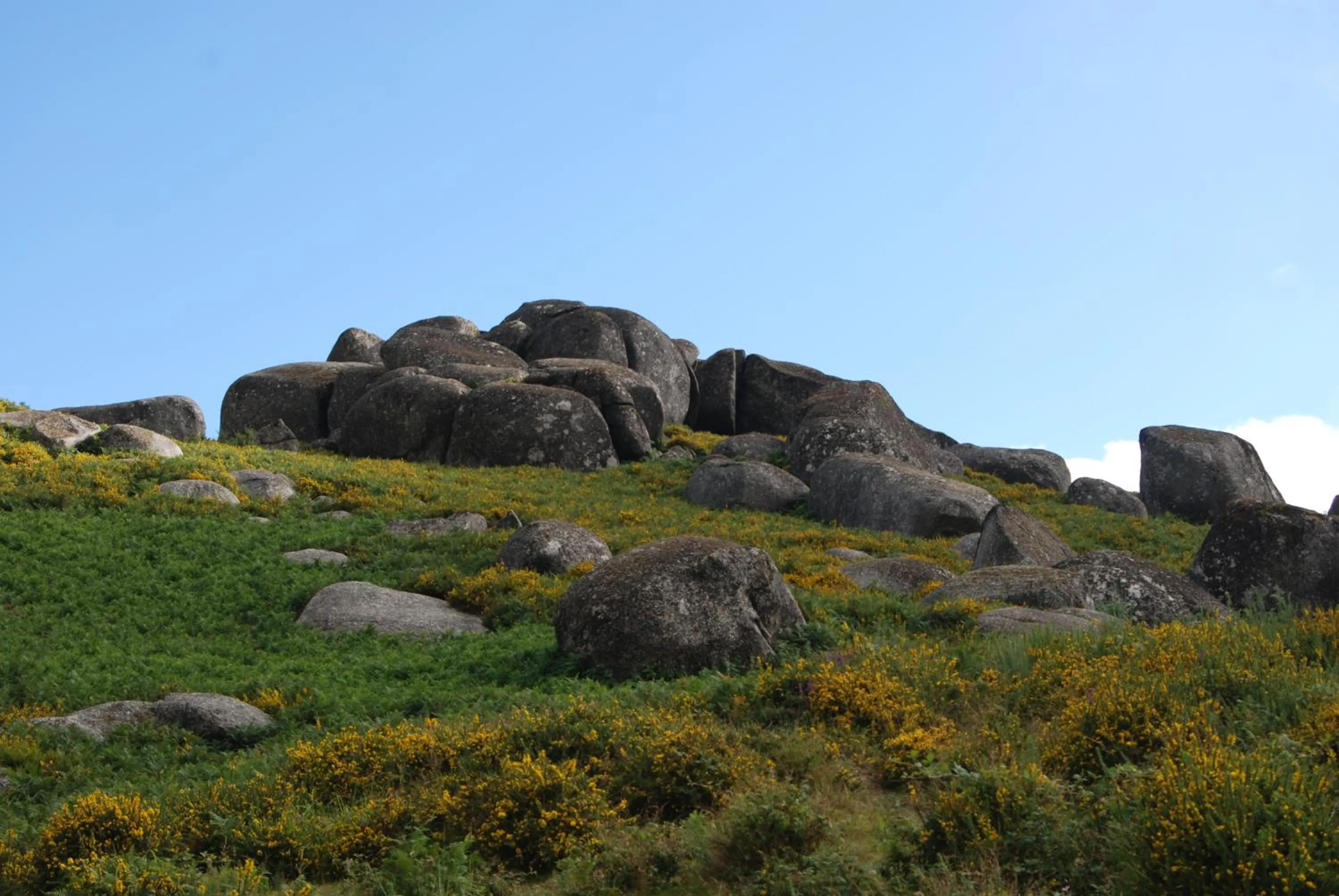 Nearby landmark in Hotel Carvalho Araujo