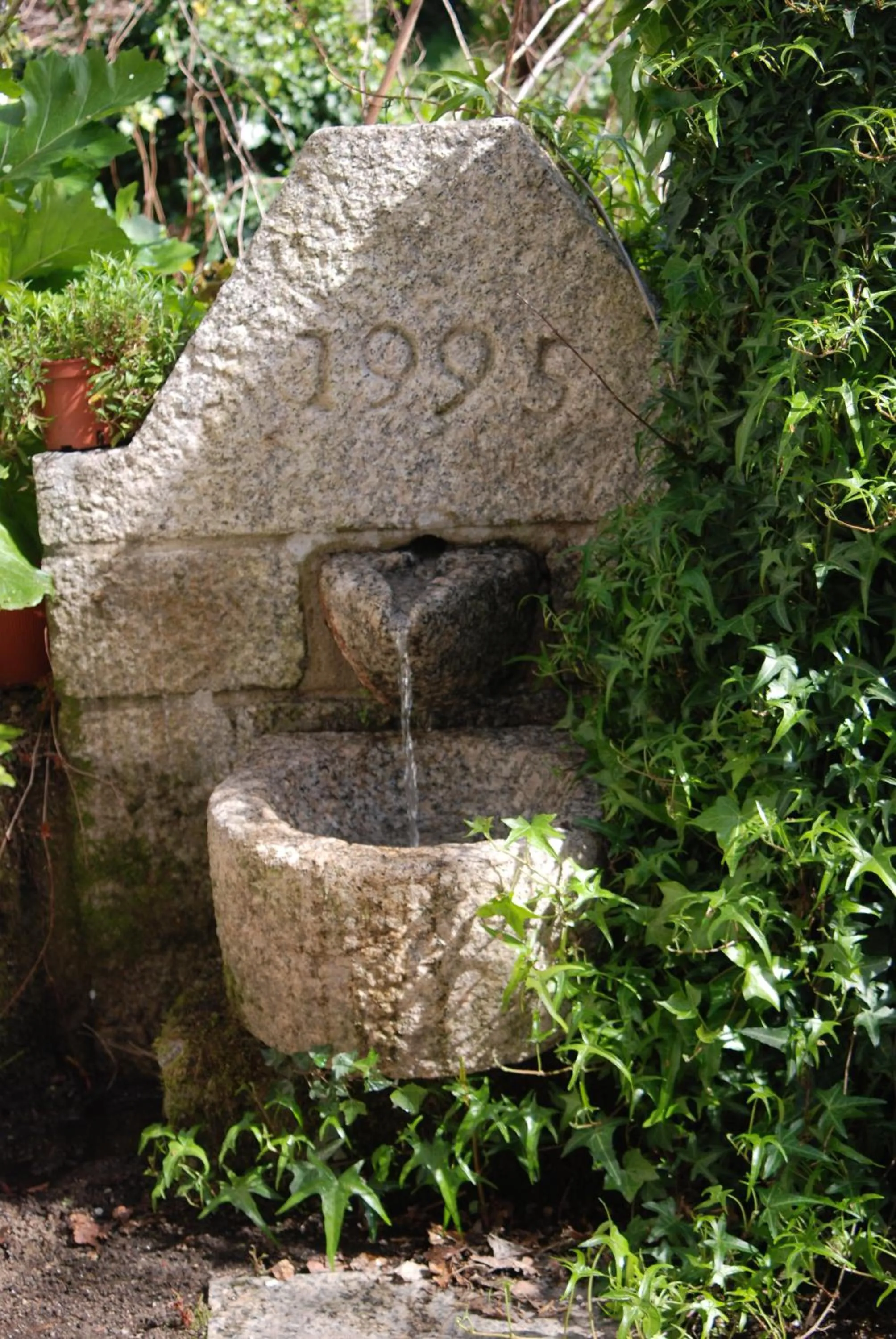 Garden in Hotel Carvalho Araujo