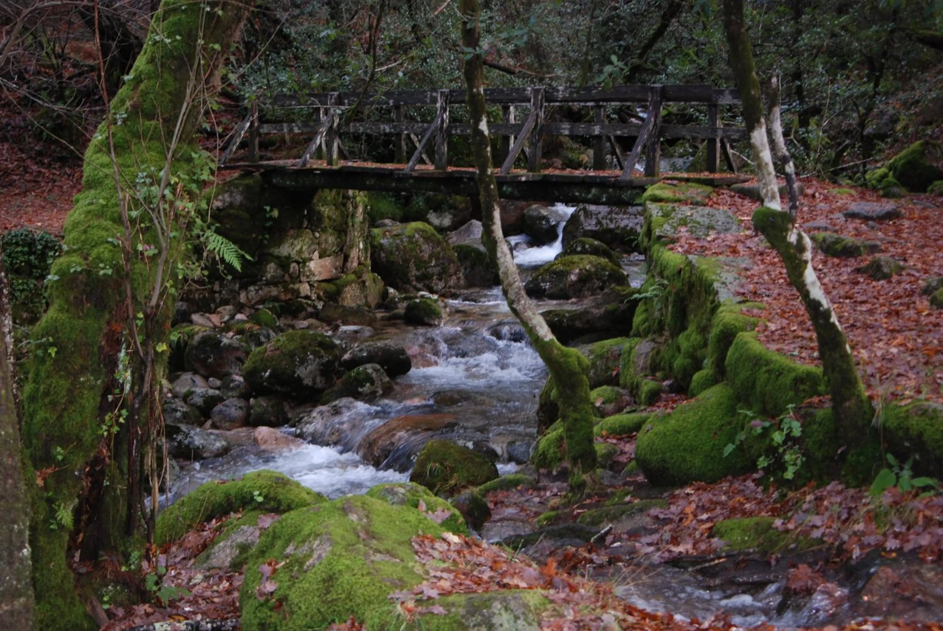 Area and facilities in Hotel Carvalho Araujo