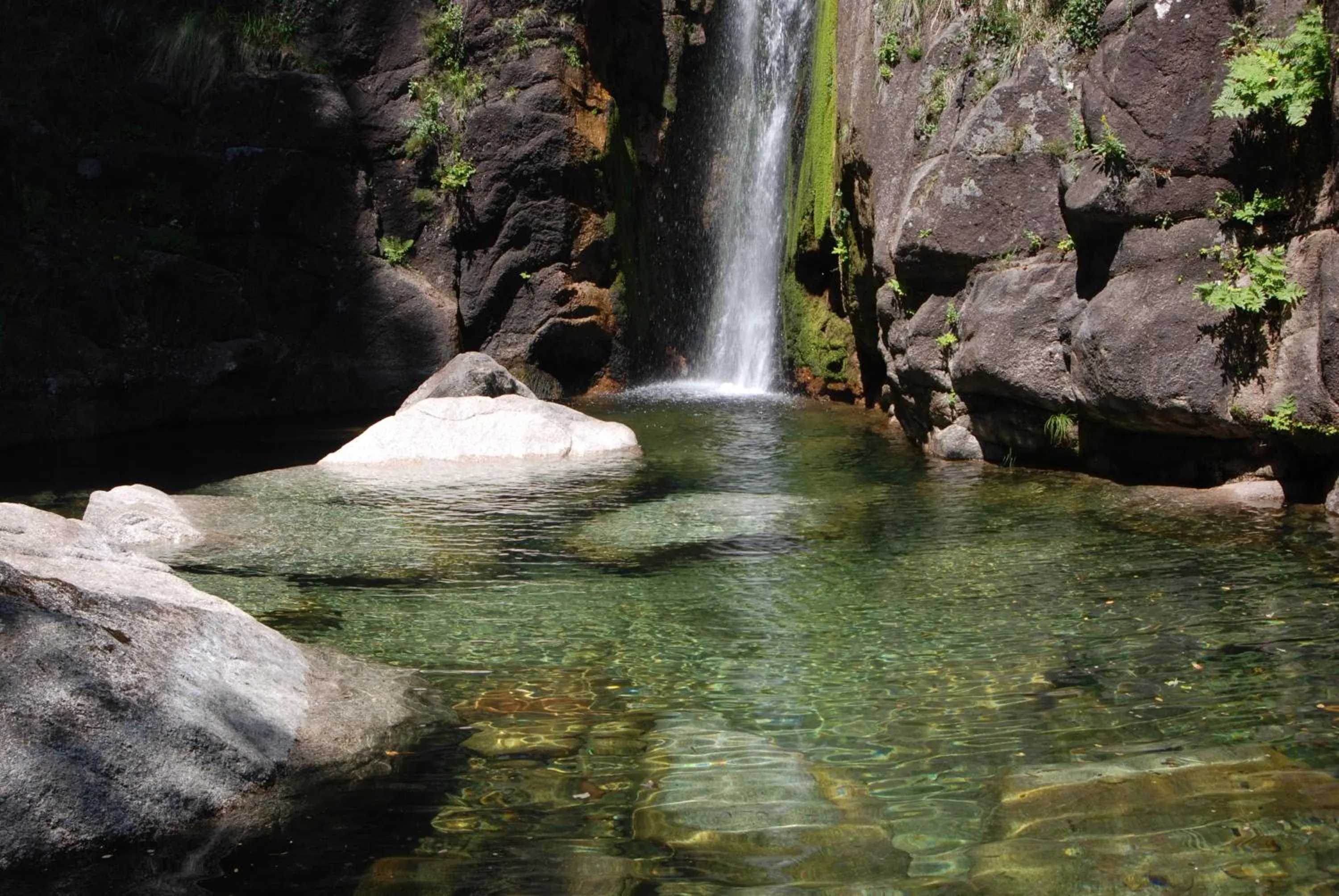Area and facilities in Hotel Carvalho Araujo