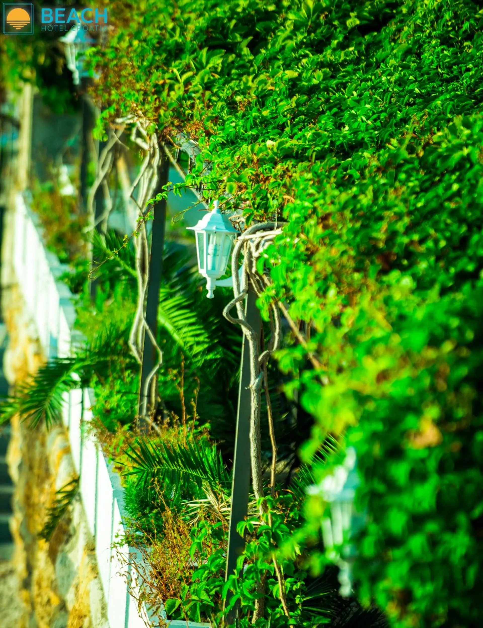 Garden in Beach Hotel