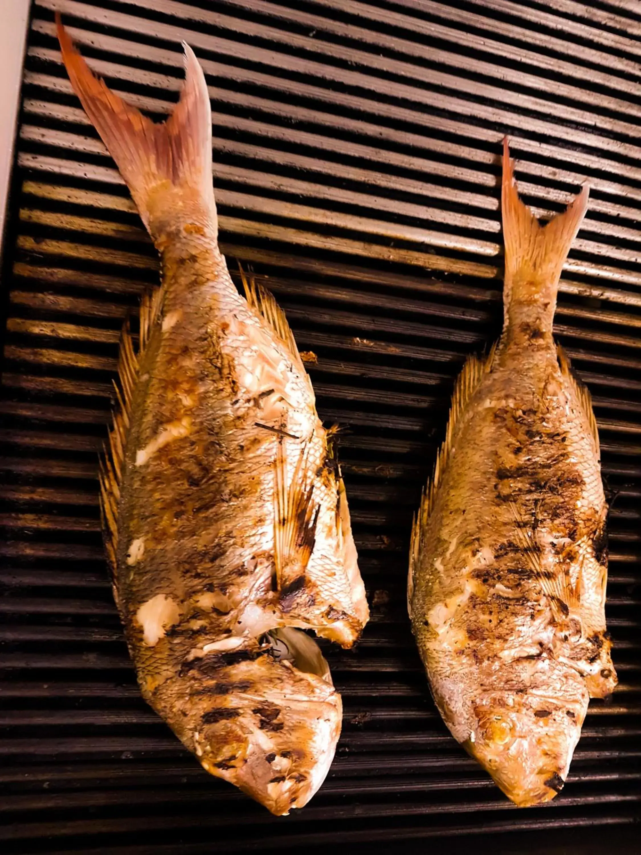 Restaurant/places to eat in Beach Hotel Restaurant/places to eat in Beach Hotel