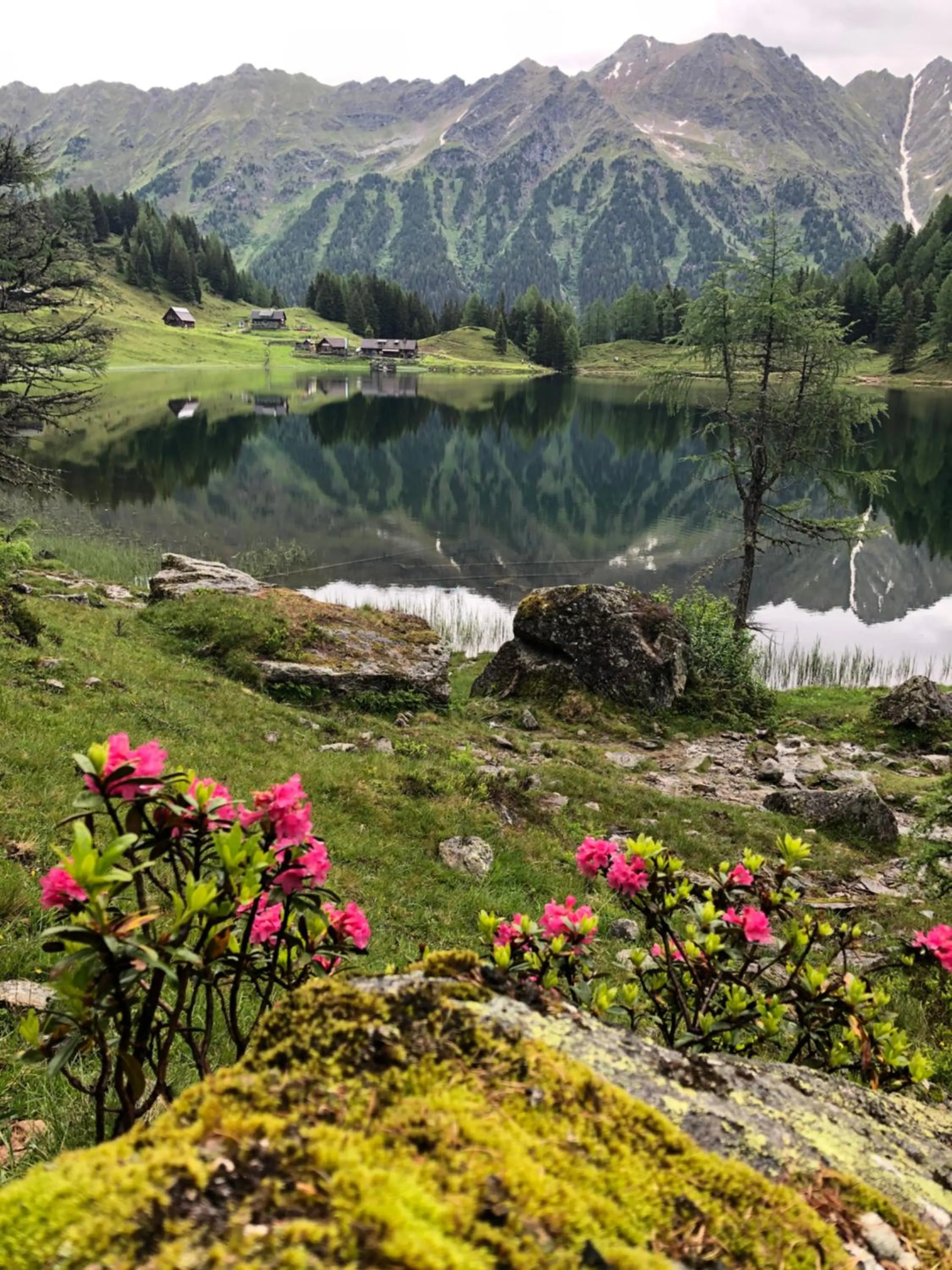 Natural landscape in Landhaus Lührmann