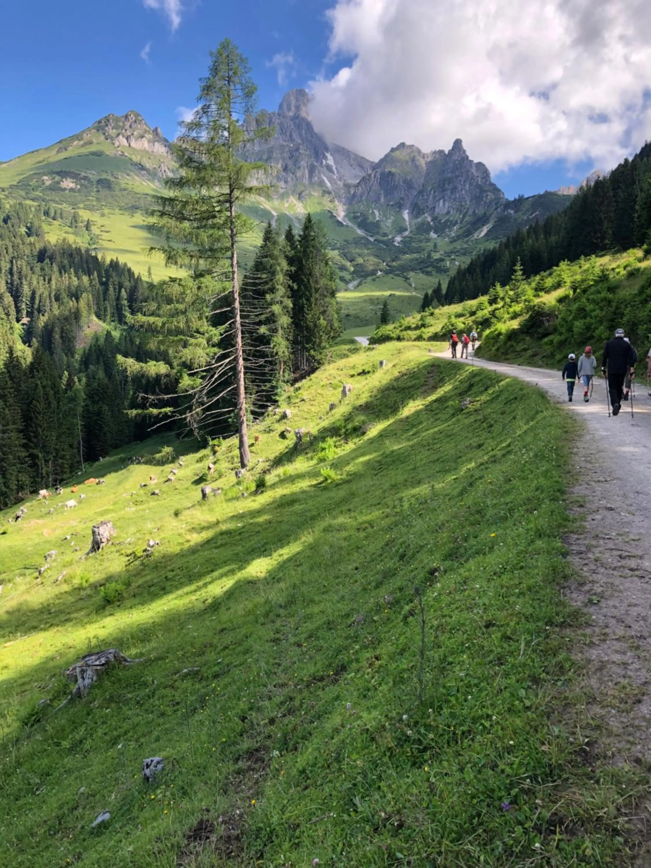 Natural landscape in Landhaus Lührmann