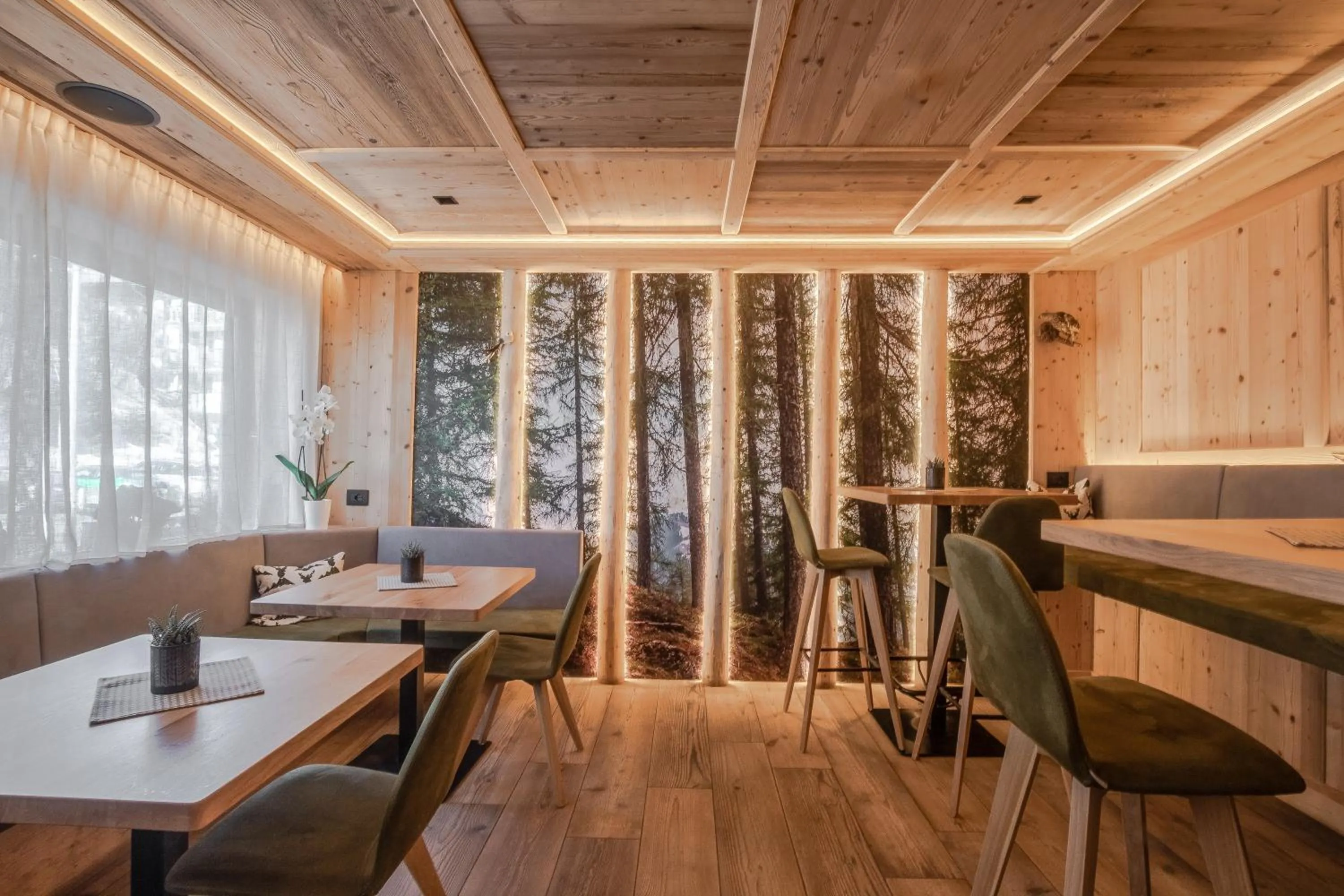 Lounge or bar in Pensione Camoscio