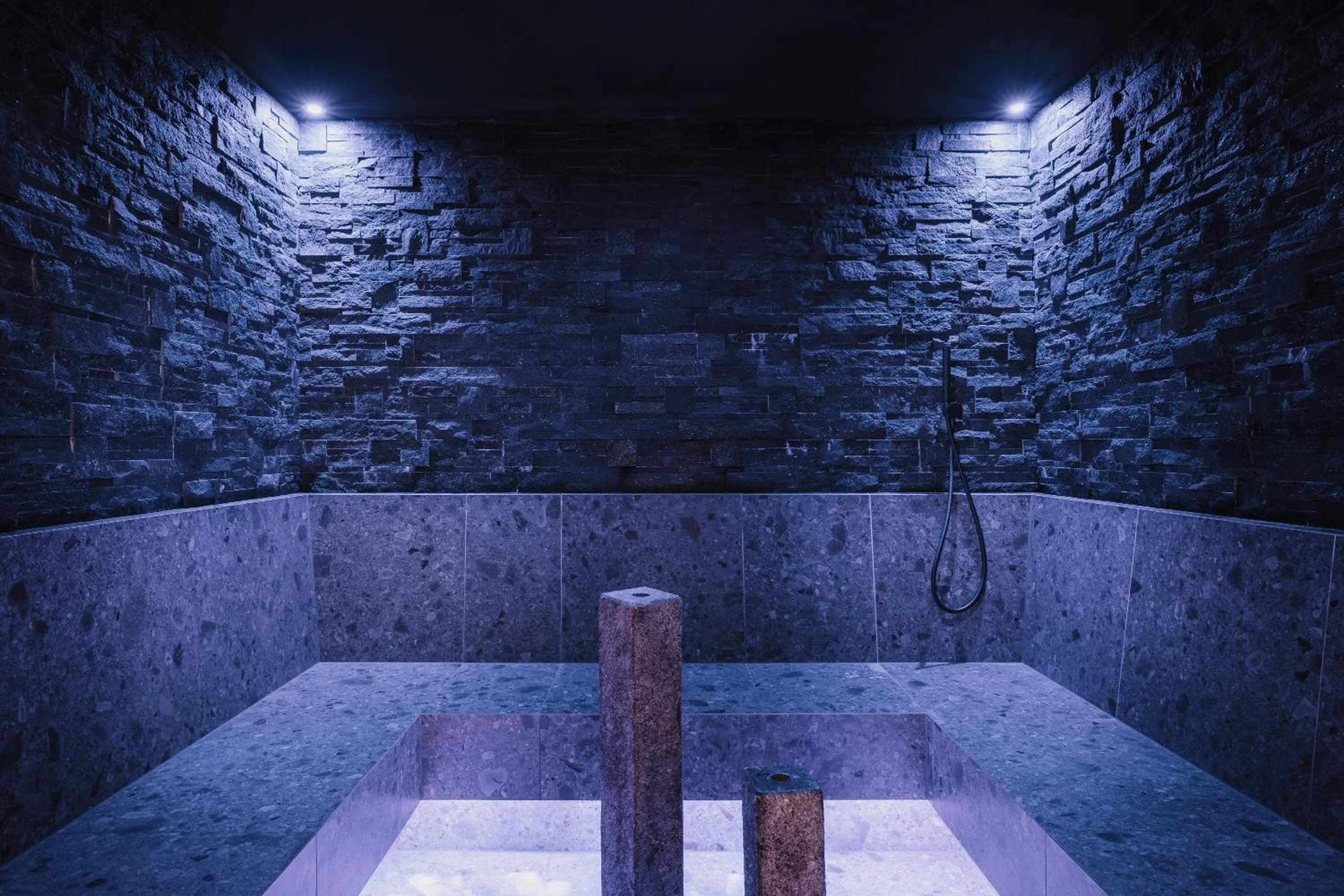 Spa and wellness centre/facilities in Pensione Camoscio