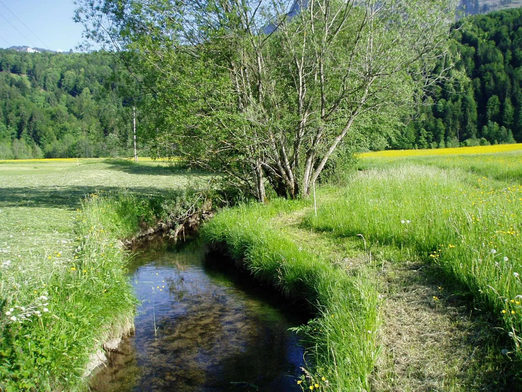 Natural landscape in Gasthof Taube