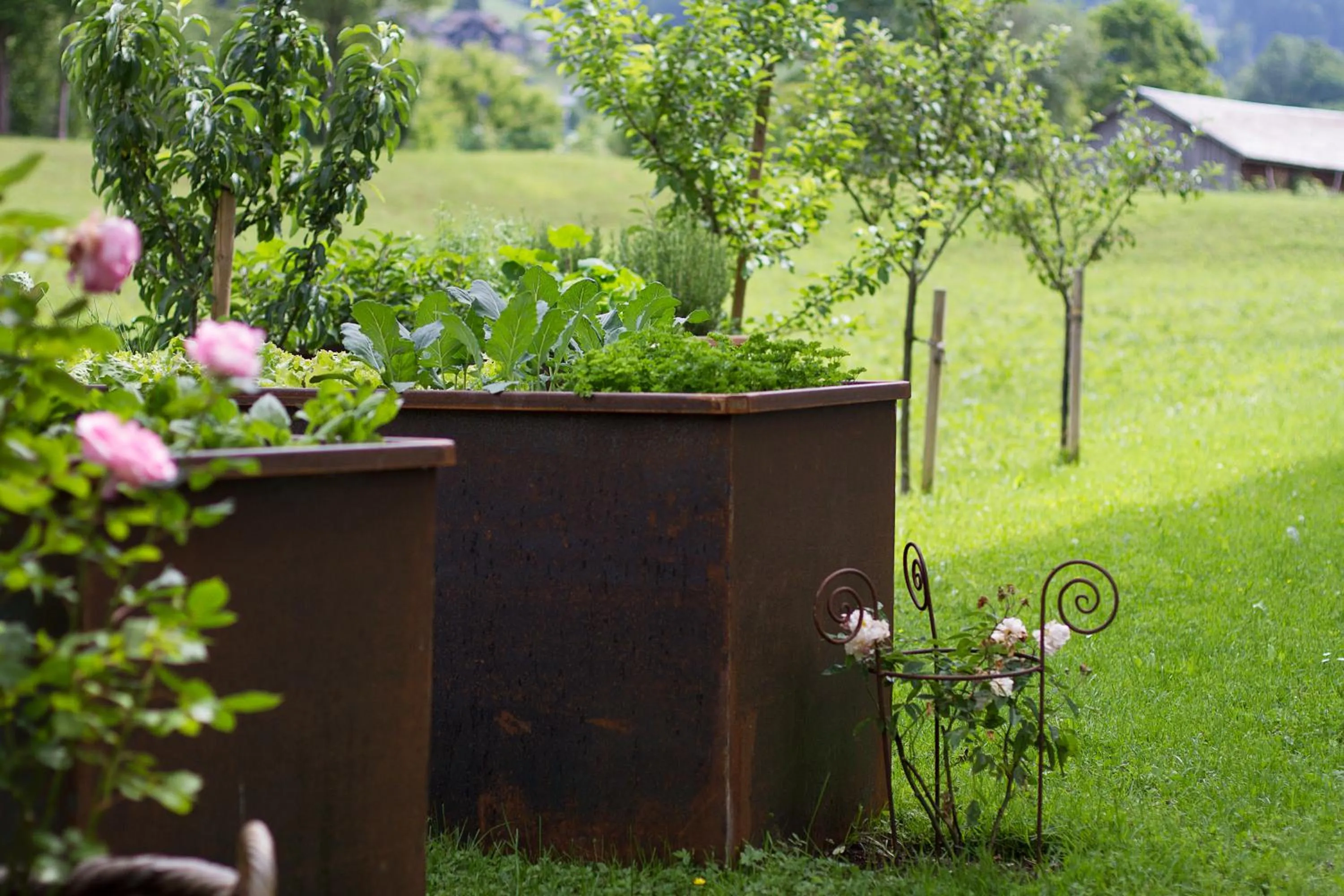 Garden in Gasthof Taube