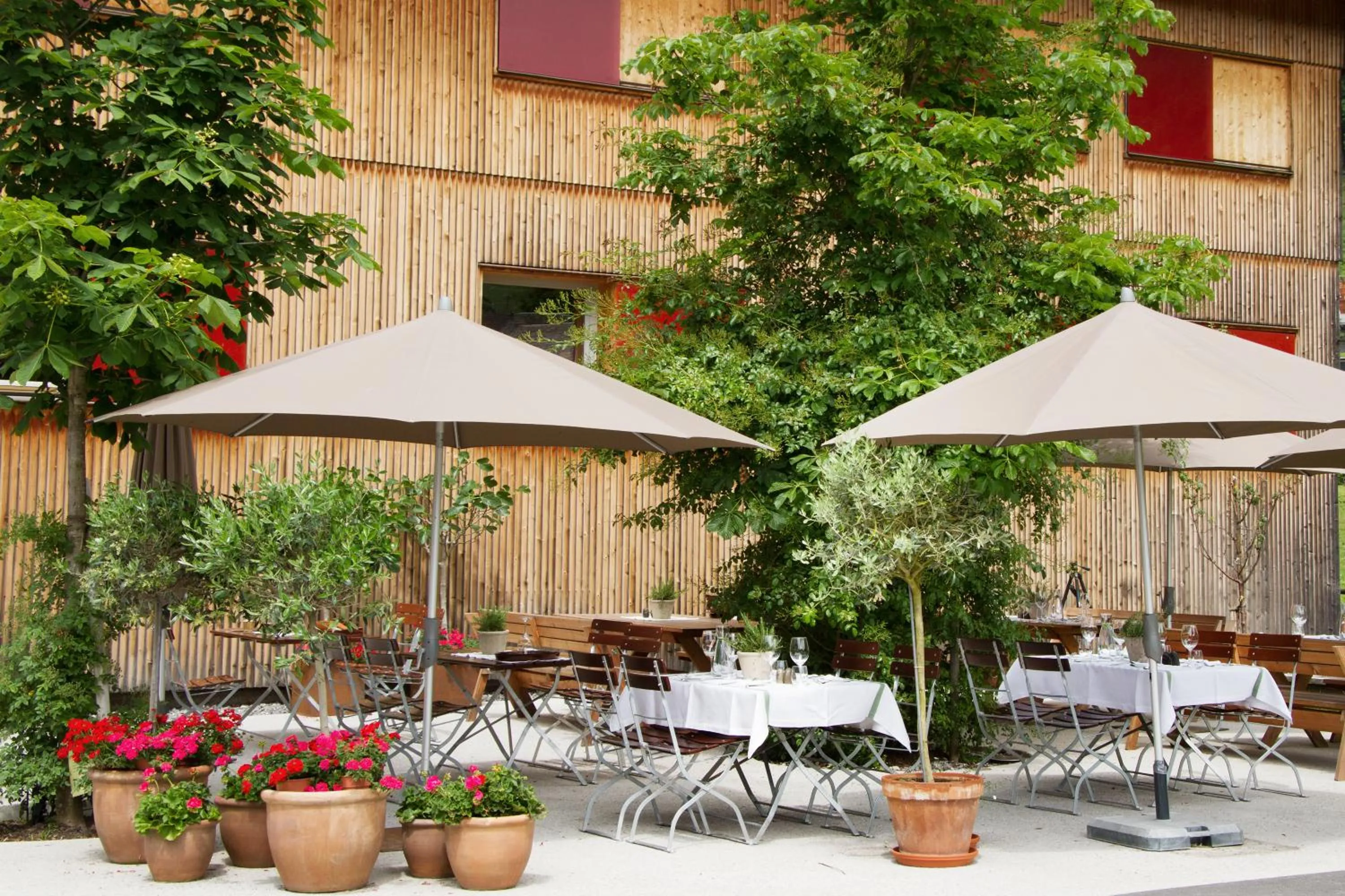 Restaurant/places to eat in Gasthof Taube