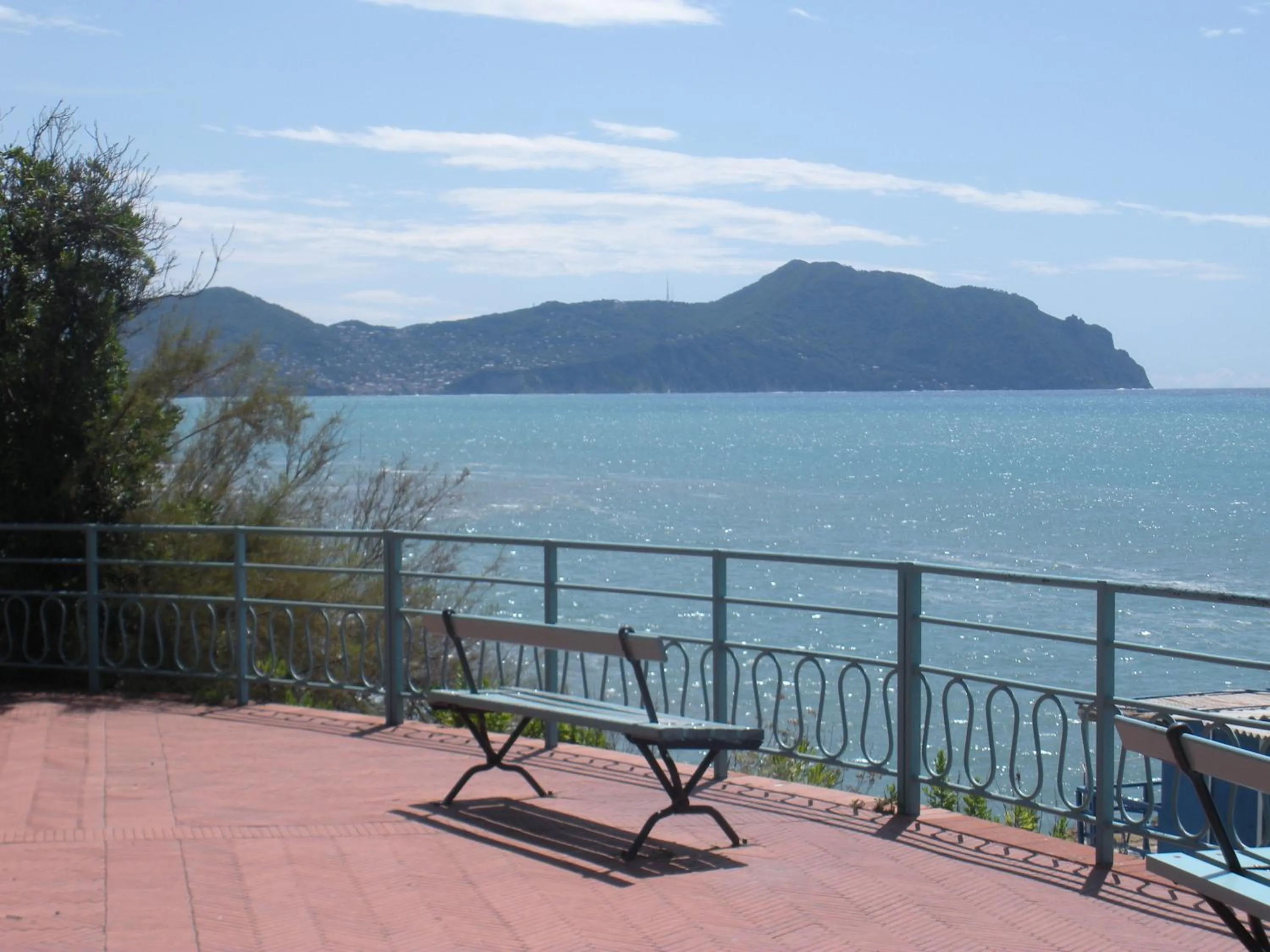 Area and facilities in Hotel Esperia