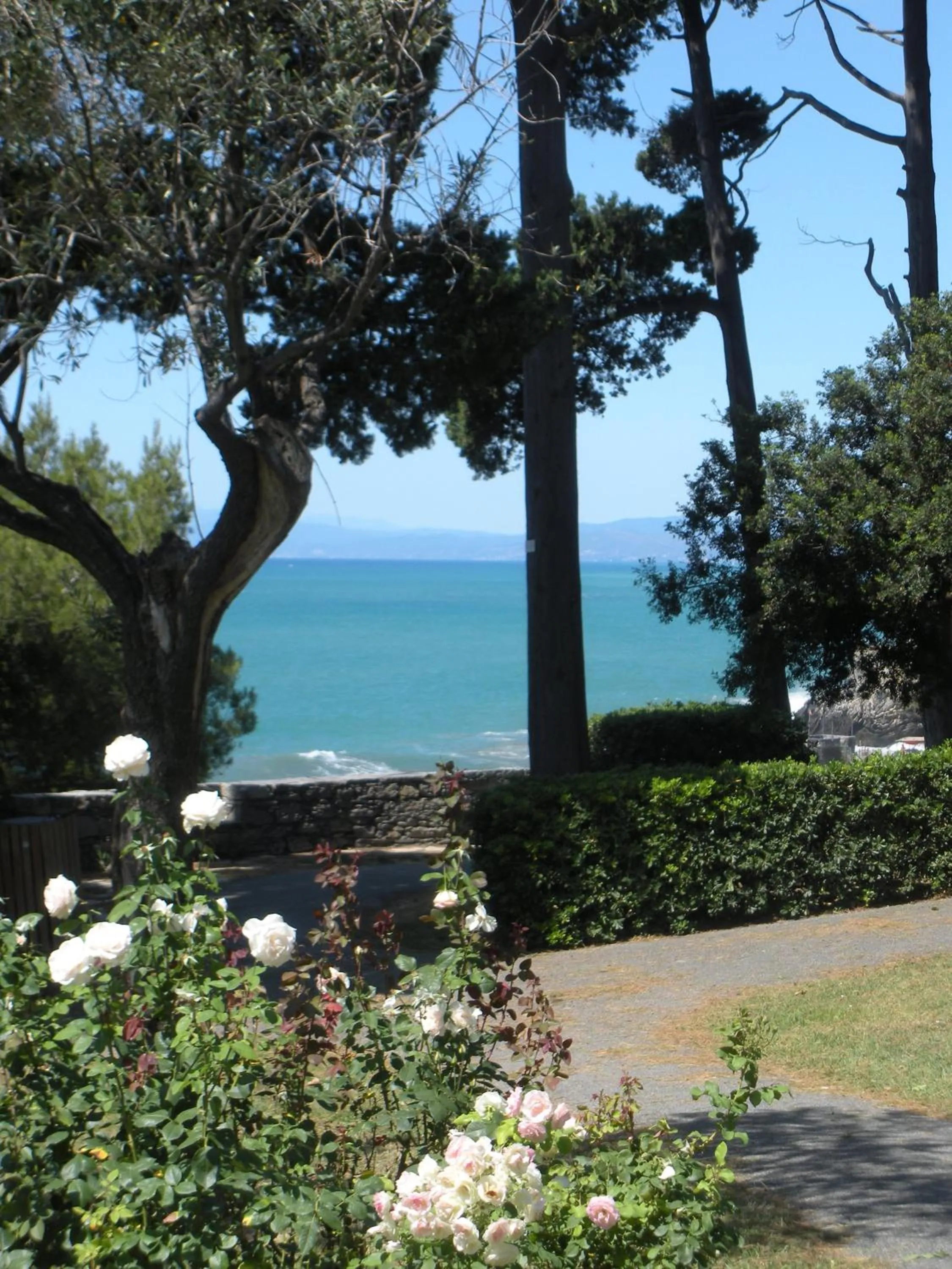 Area and facilities in Hotel Esperia