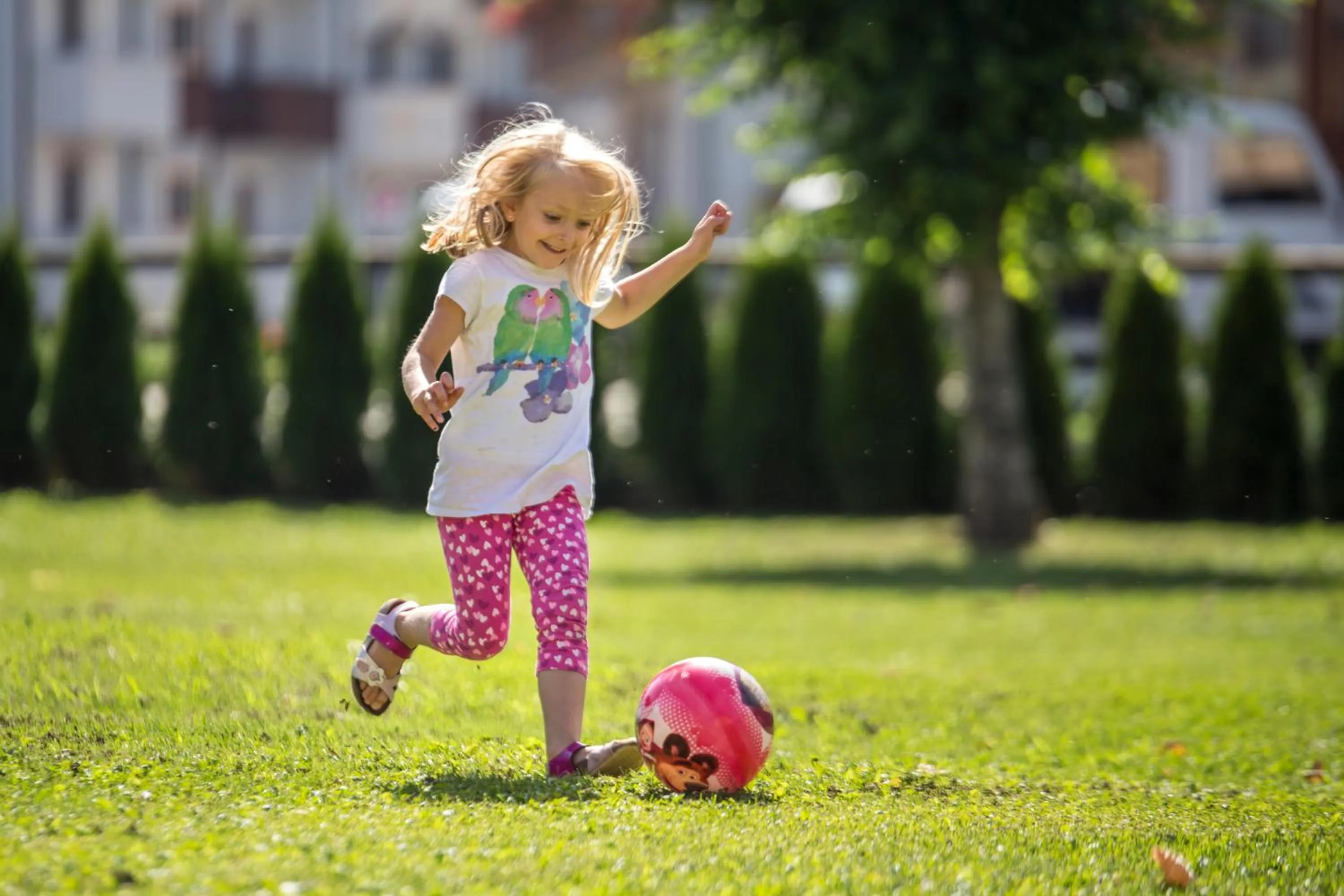 Garden in Hotel Stella Alpina