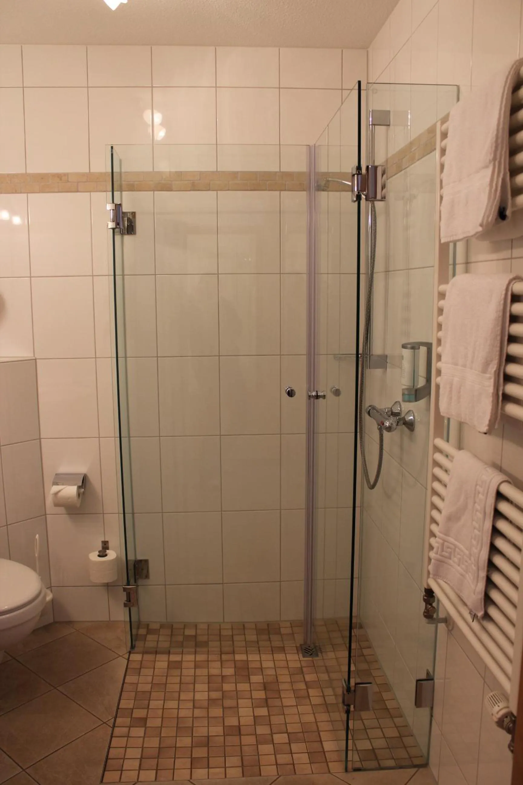 Bathroom in Hotel Ripken