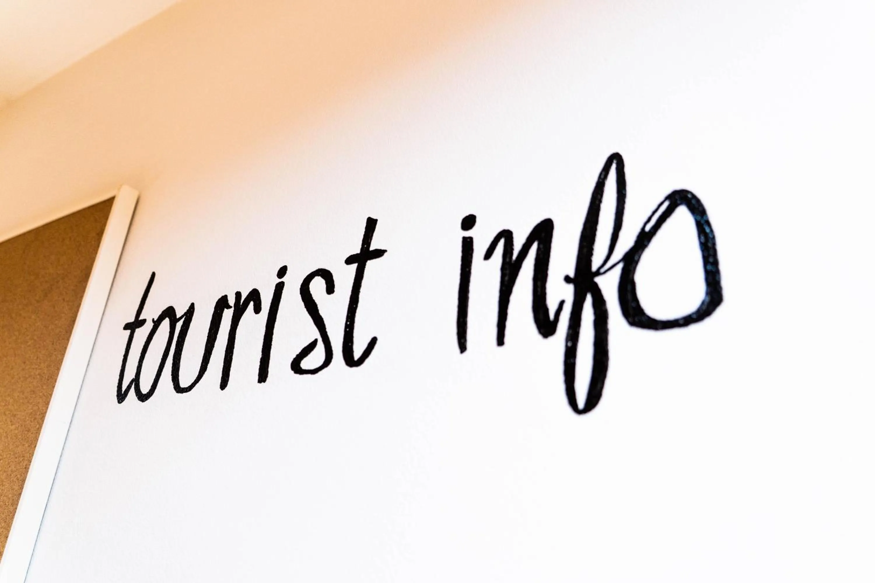 The LOL Elephant Hostel