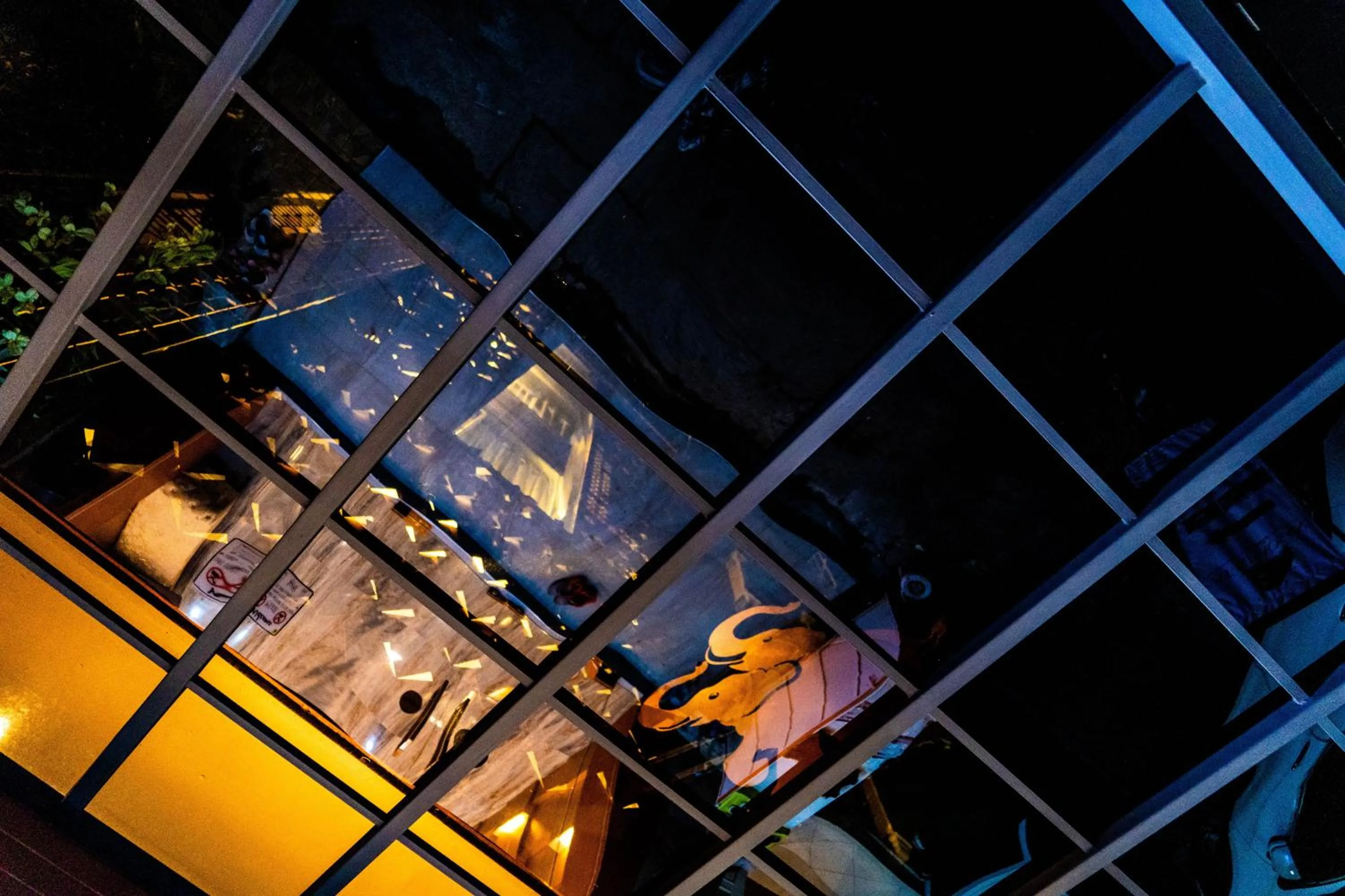 The LOL Elephant Hostel