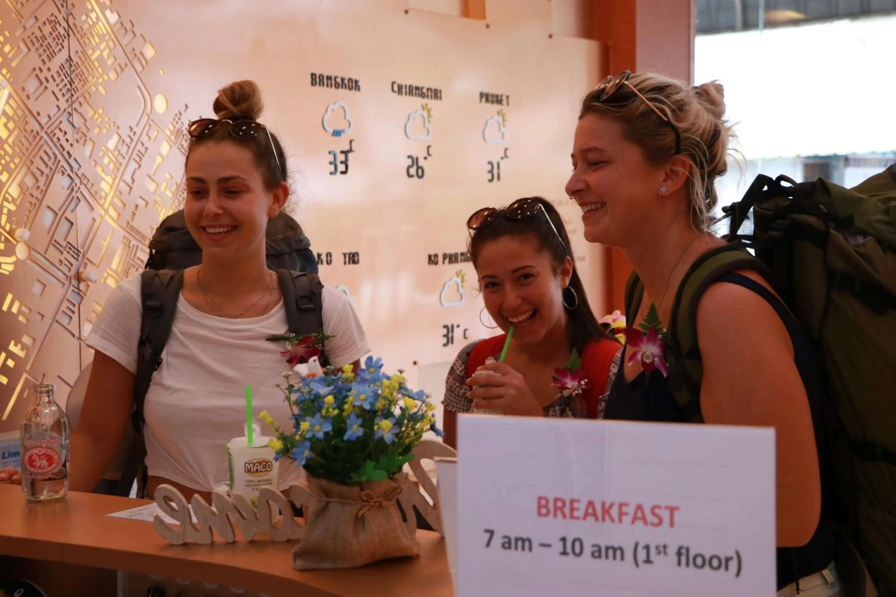 The LOL Elephant Hostel