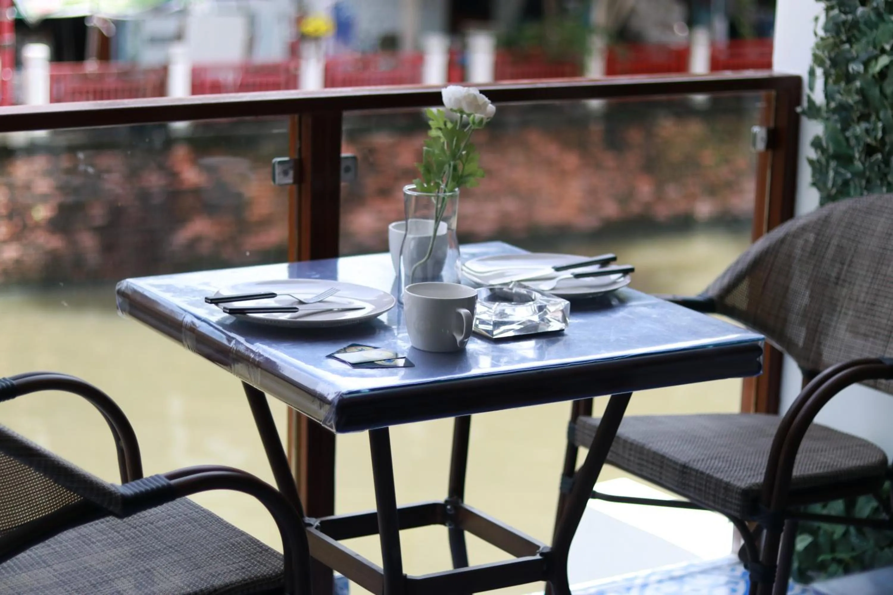 The LOL Elephant Hostel