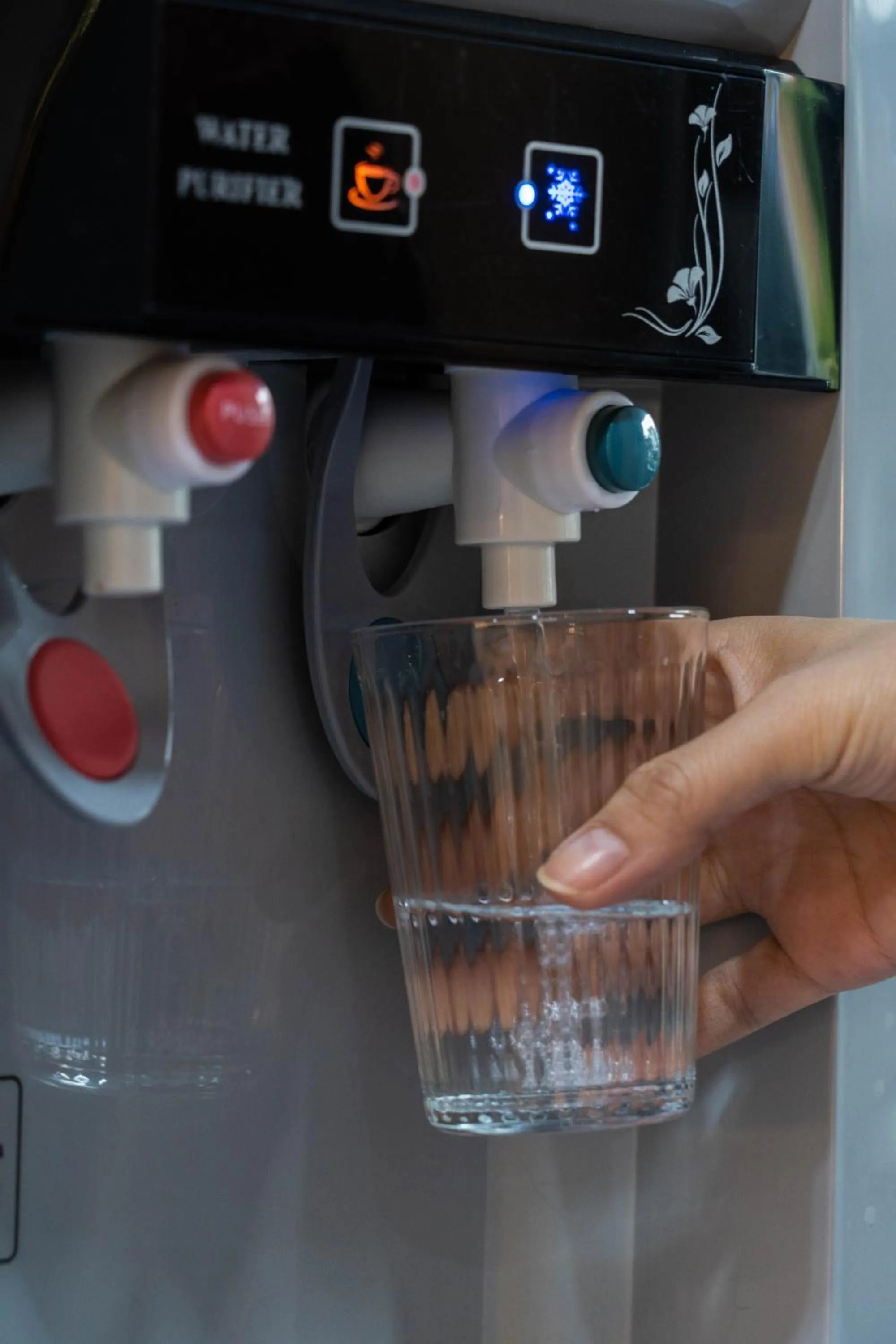 The LOL Elephant Hostel