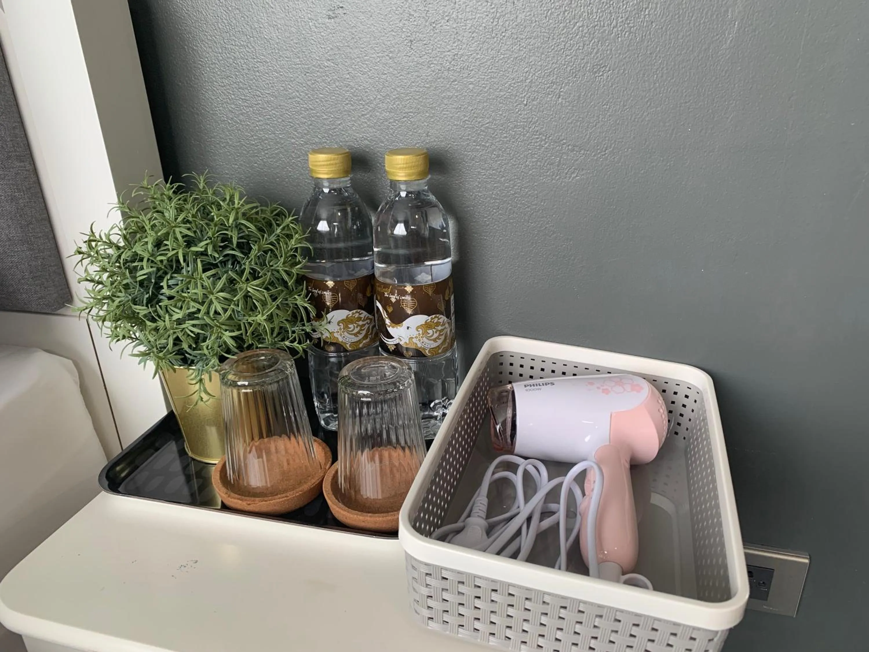 The LOL Elephant Hostel