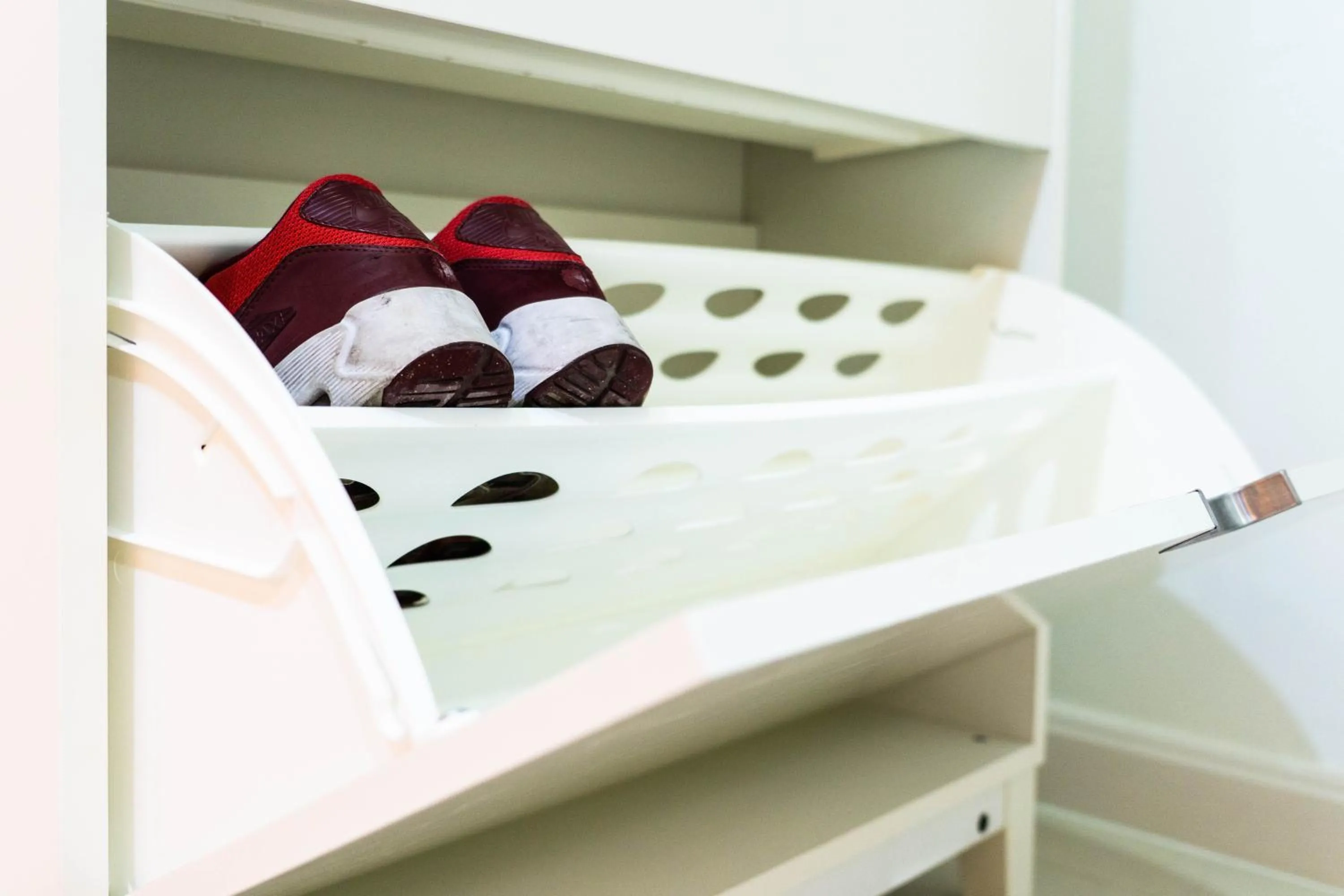 The LOL Elephant Hostel