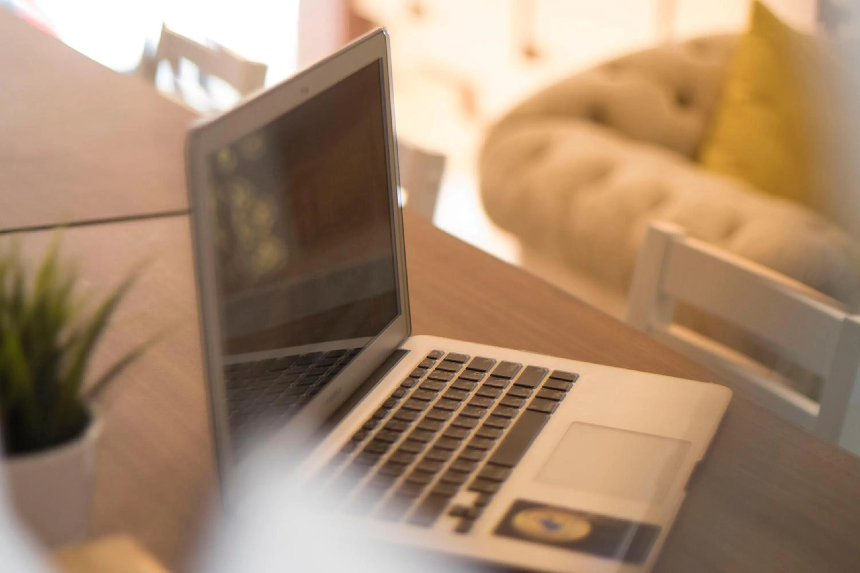 The LOL Elephant Hostel