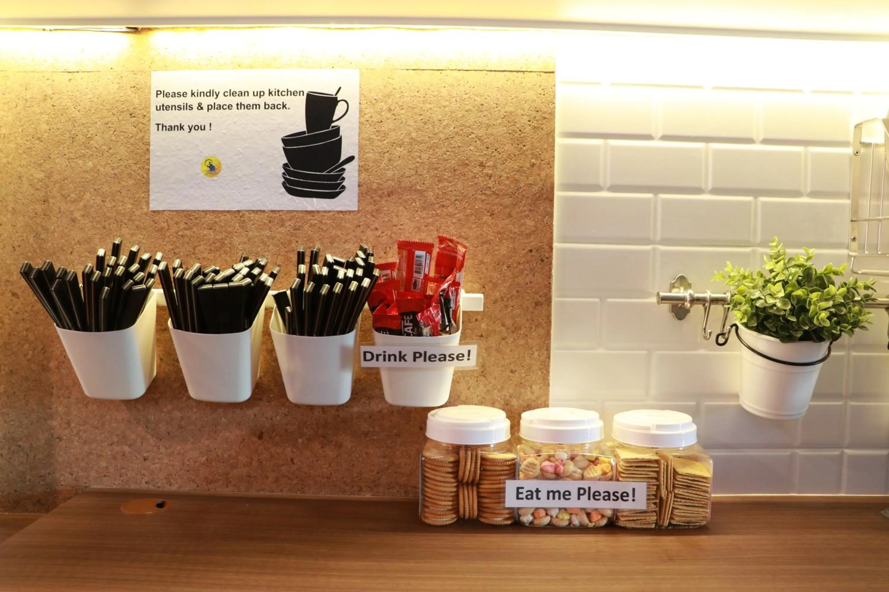 The LOL Elephant Hostel