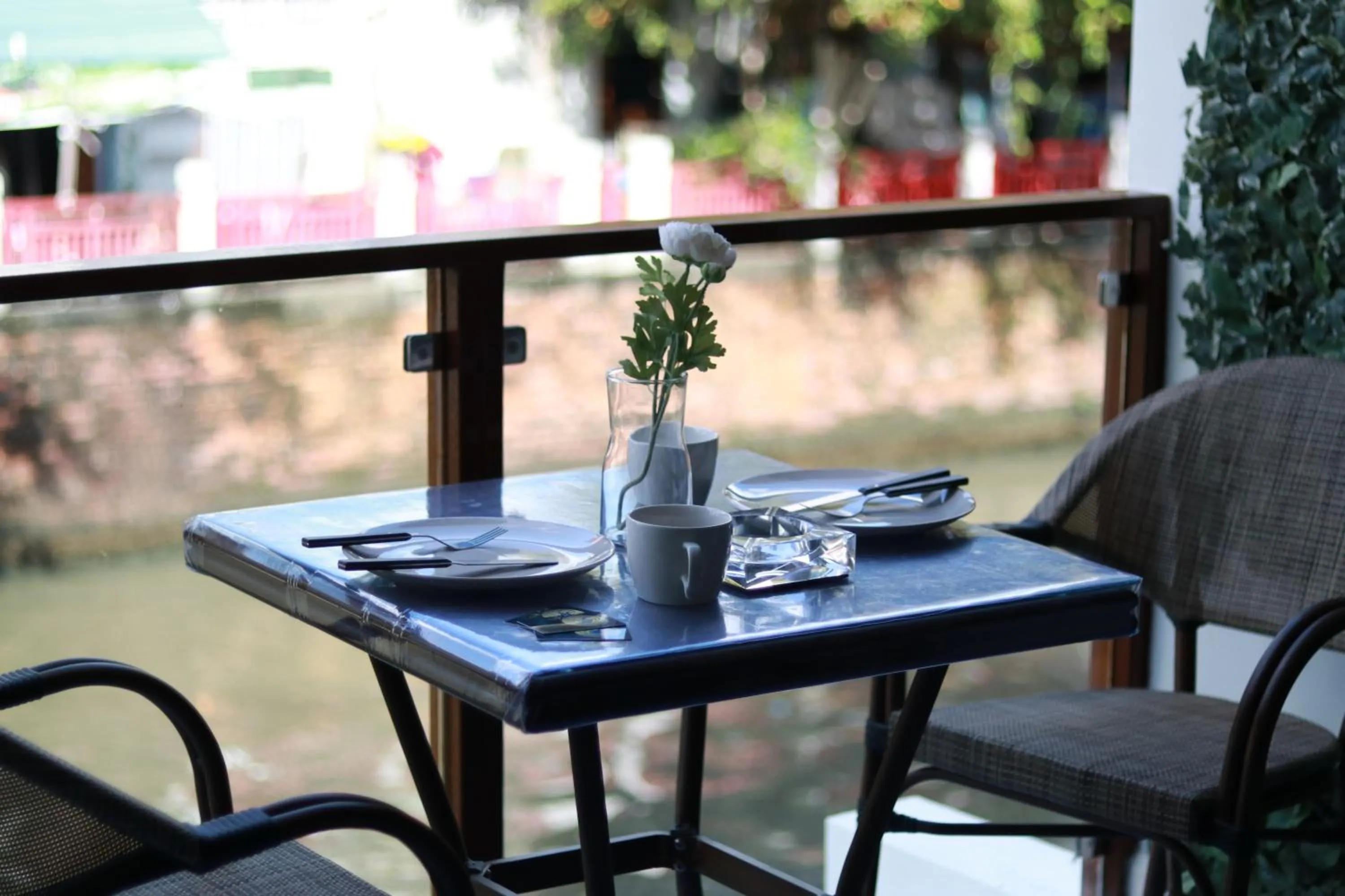 The LOL Elephant Hostel