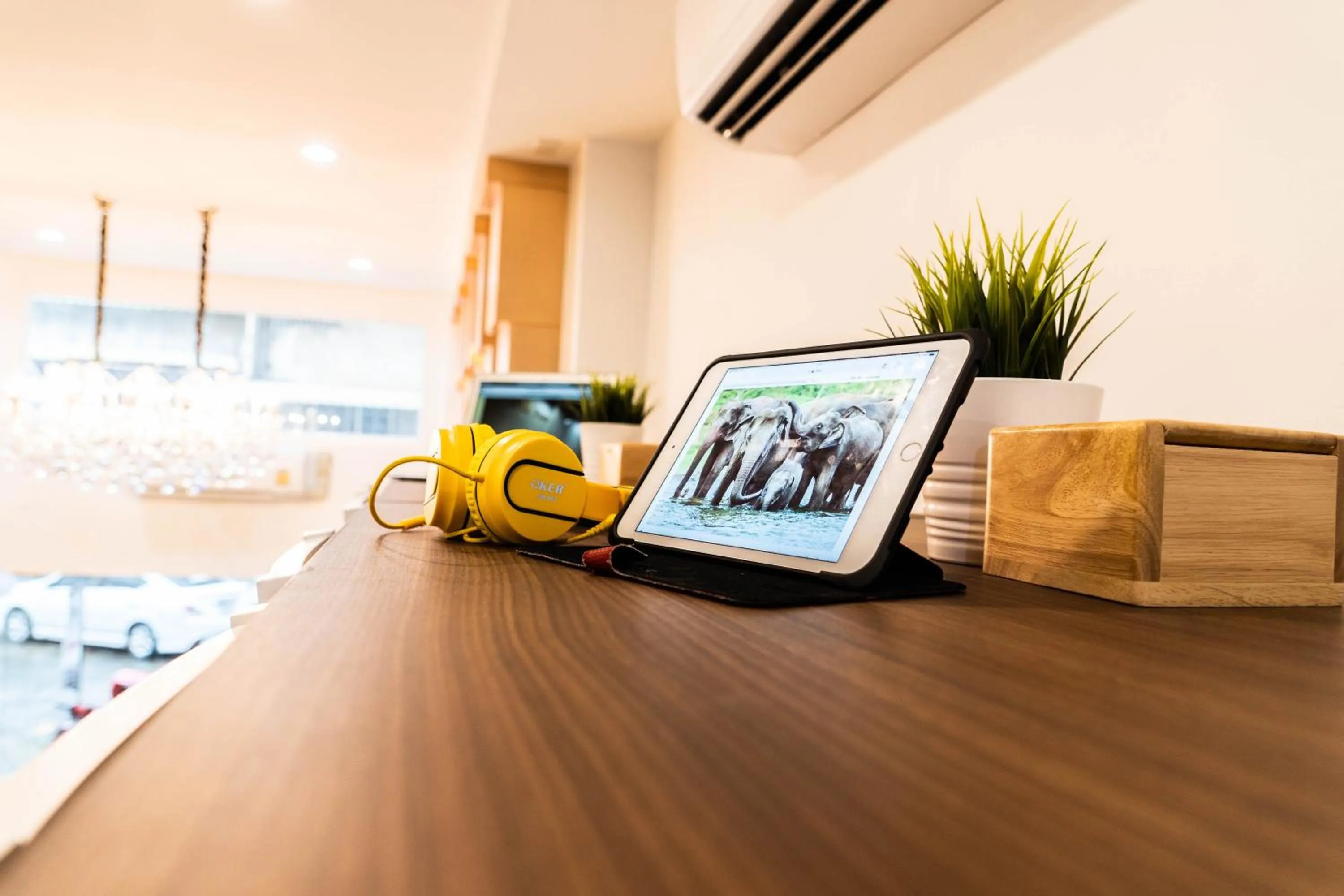 The LOL Elephant Hostel