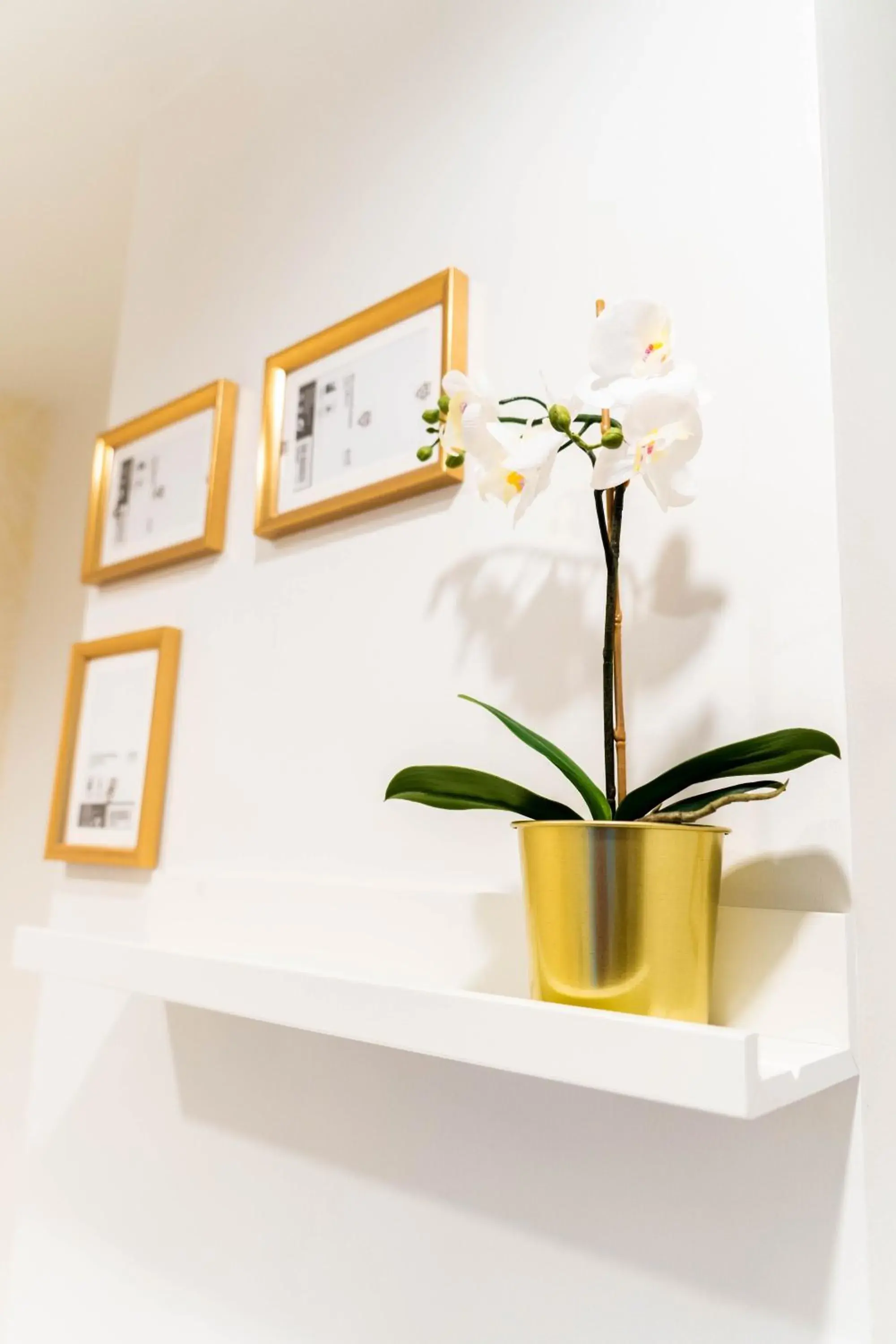 Single Bed Private Ensuite (No window) - single occupancy in The LOL Elephant Hostel Single Bed Private Ensuite (No window) - single occupancy in The LOL Elephant Hostel