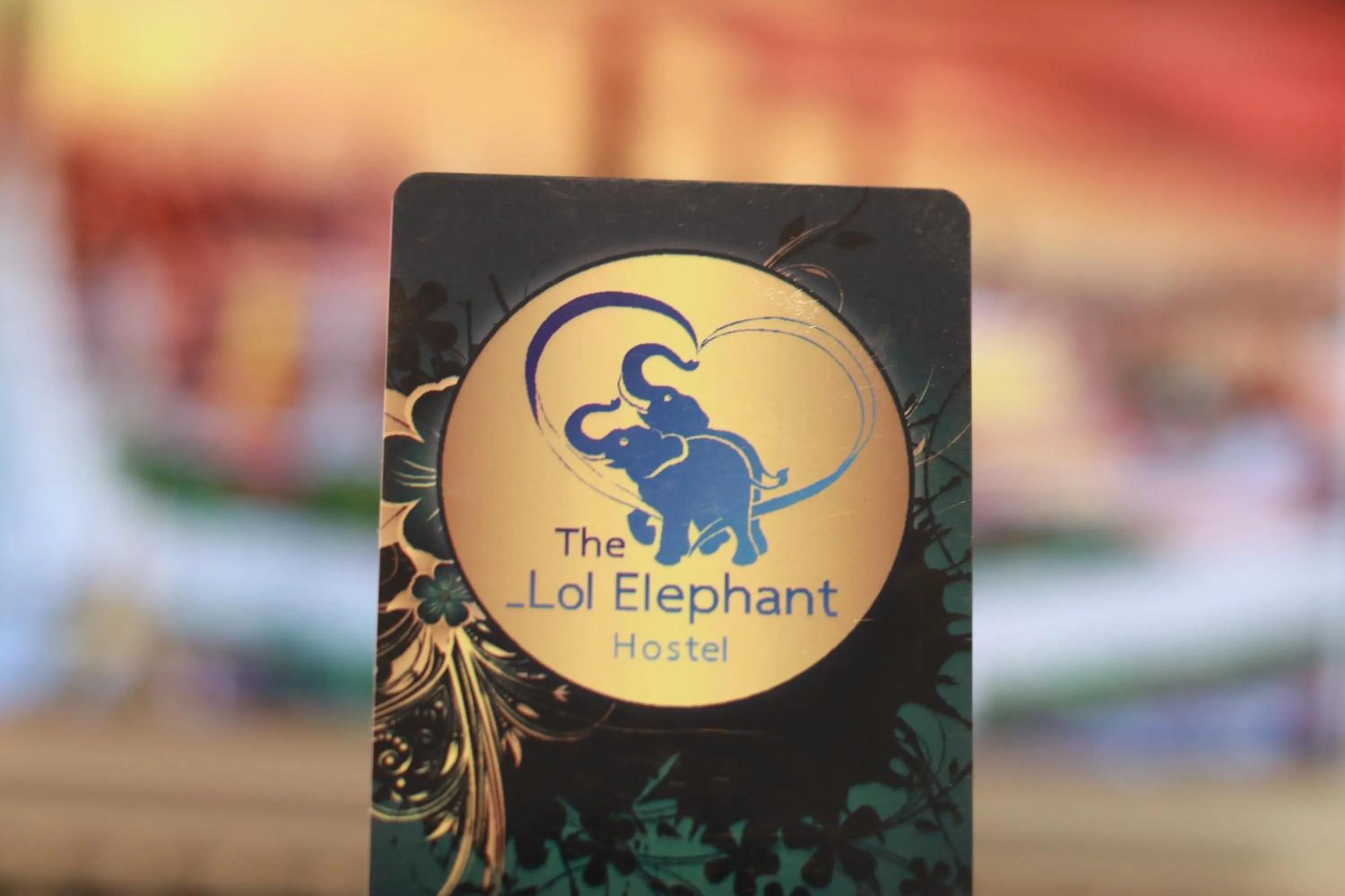The LOL Elephant Hostel