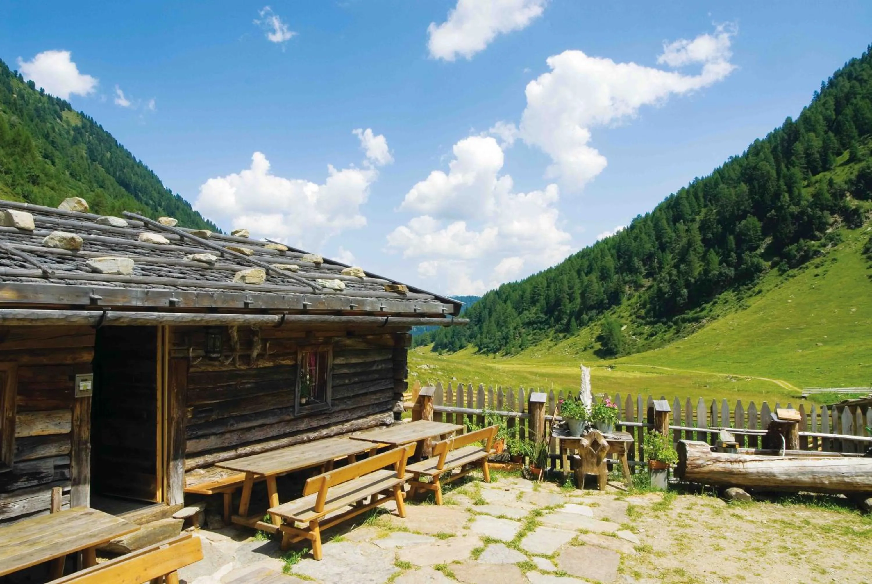 Area and facilities in Naturhotel Rainer