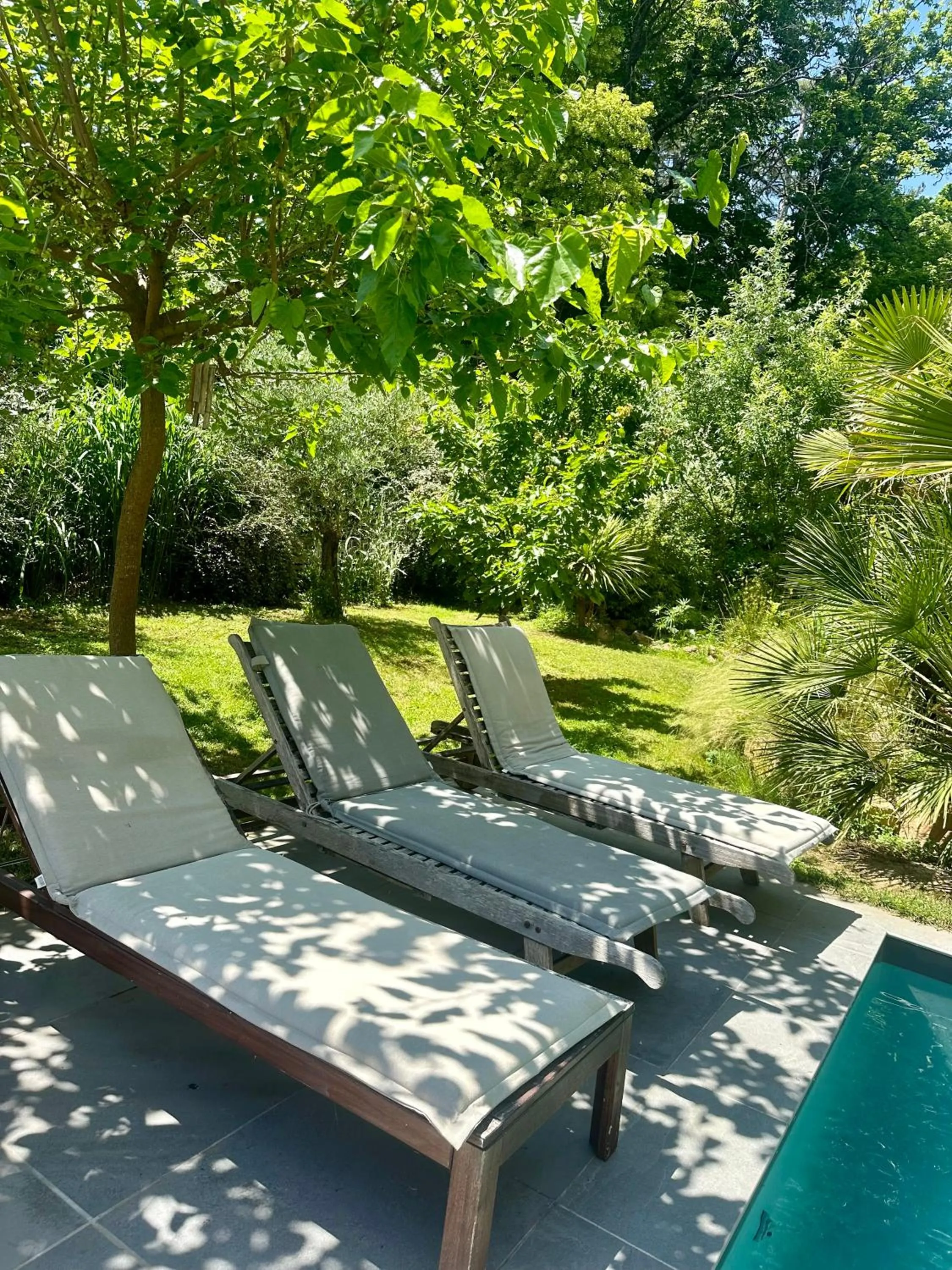 Effet Lodge