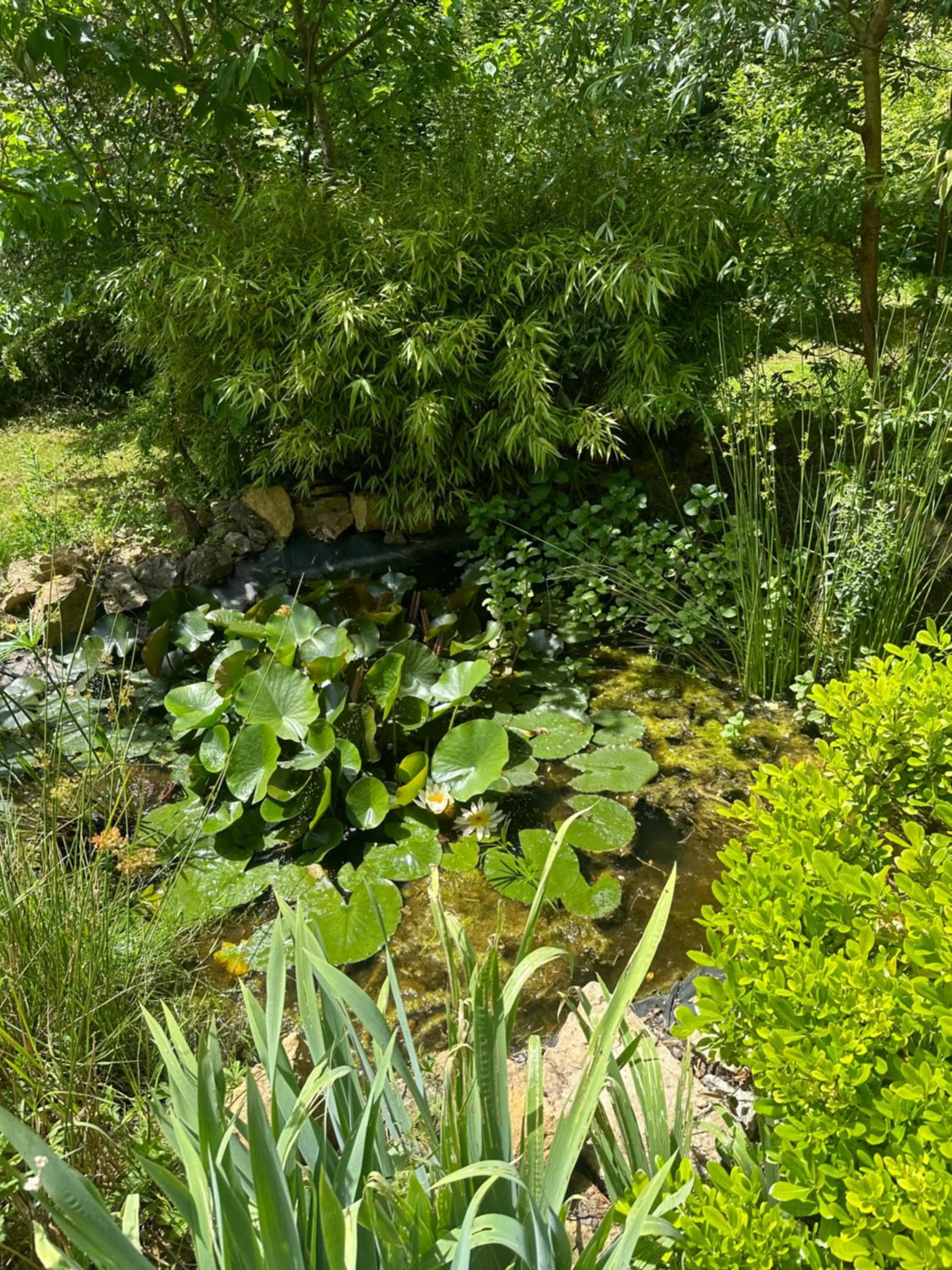 Natural landscape in Effet Lodge