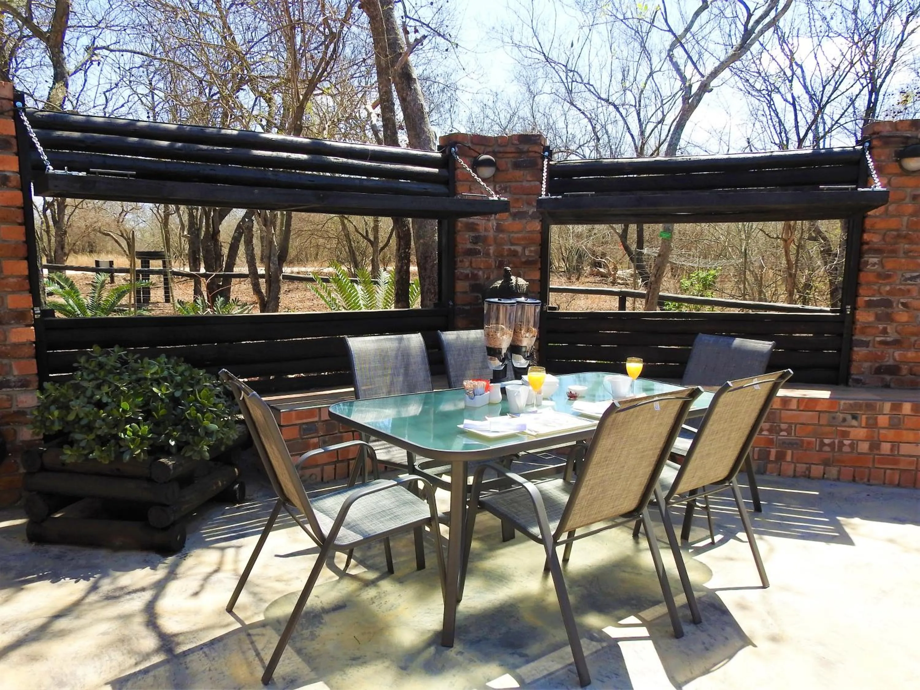 Garden in Ubuntu Bed and Breakfast