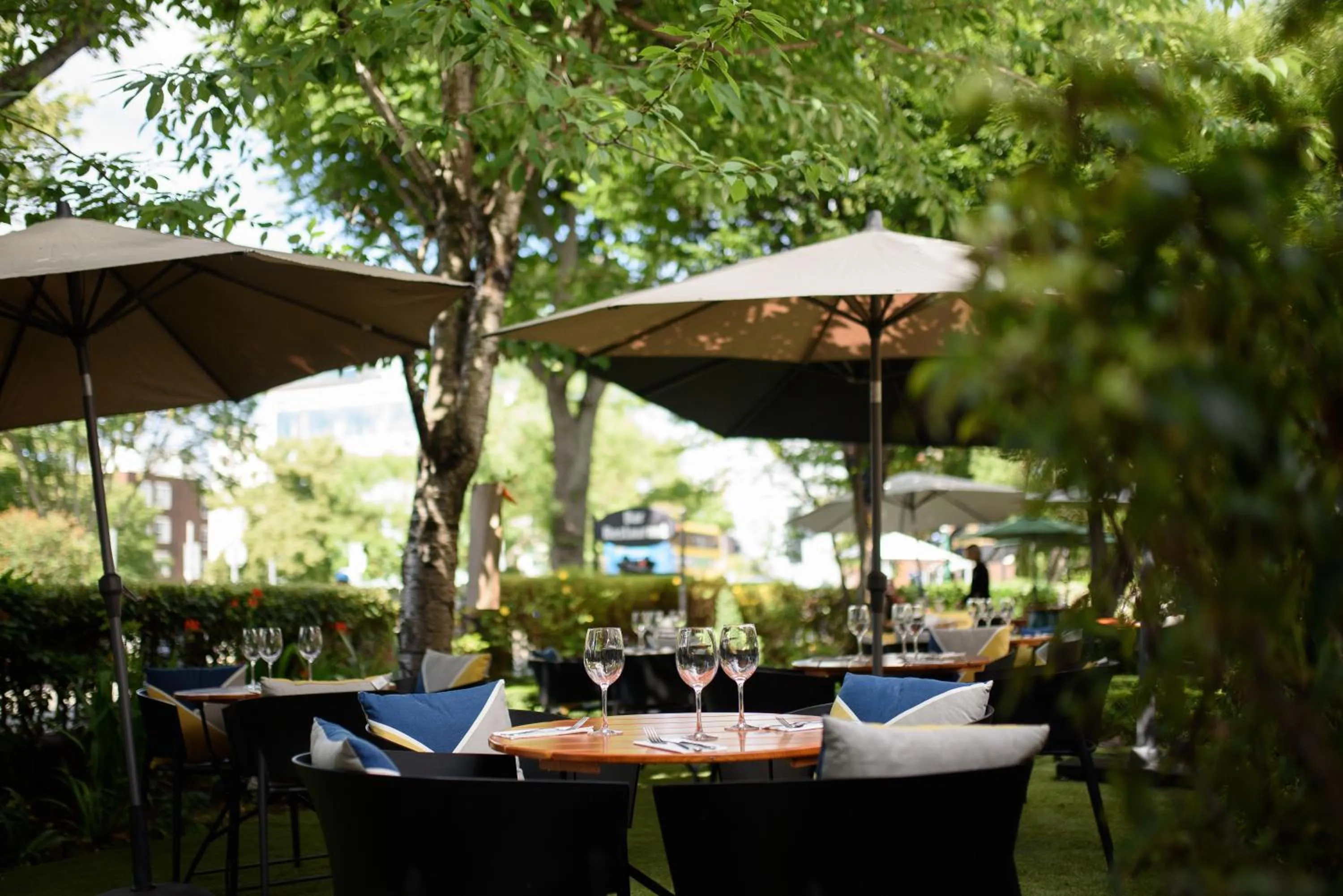 Garden in Schoolhouse Hotel