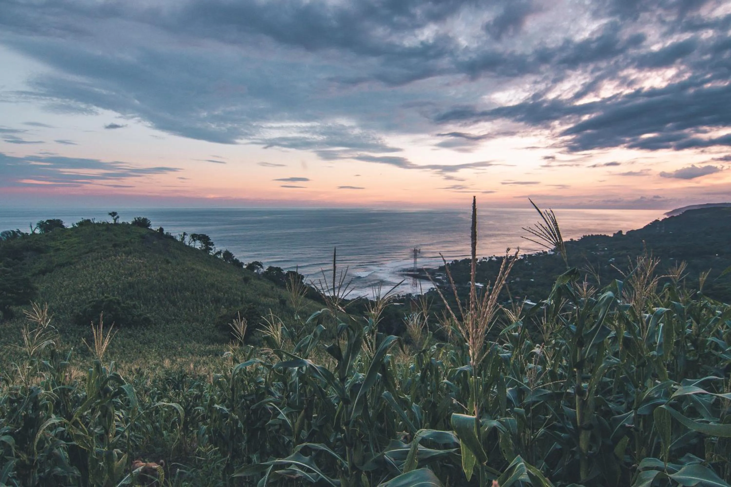 Natural landscape in Esencia Nativa