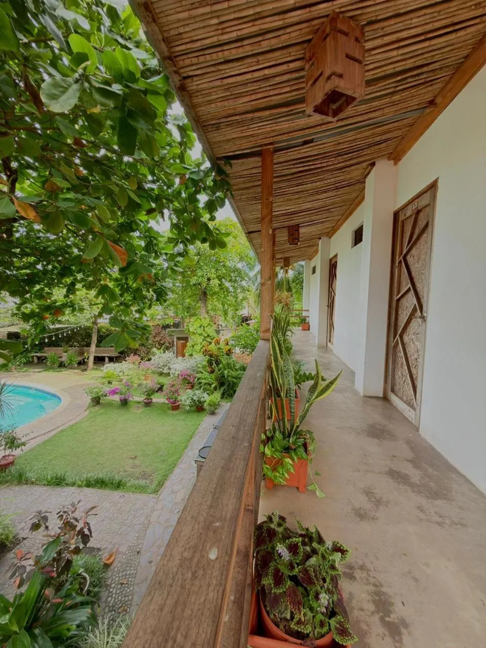 Bird's eye view in Esencia Nativa