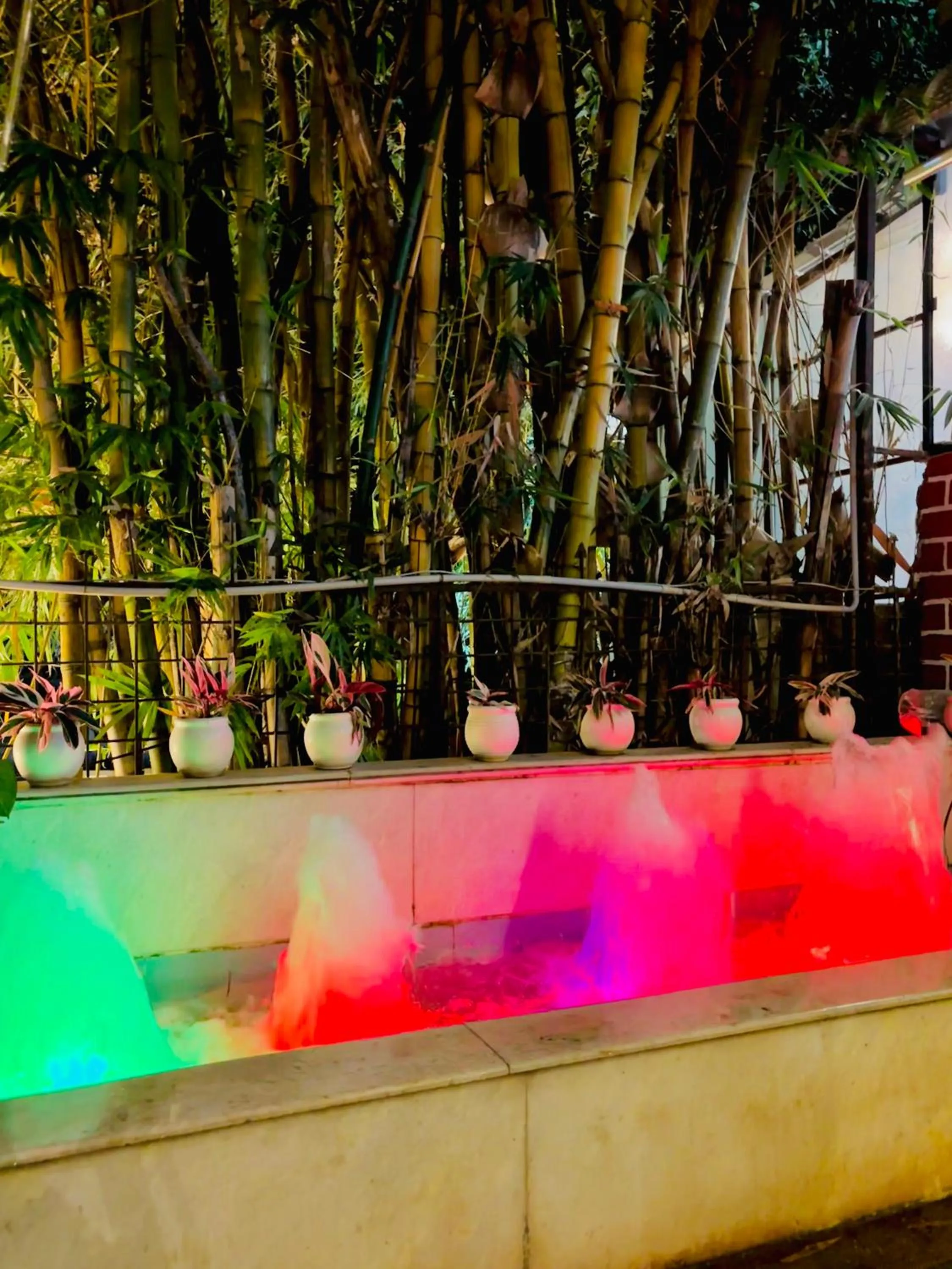 Garden in Royal Palms Luxury Service Apartment