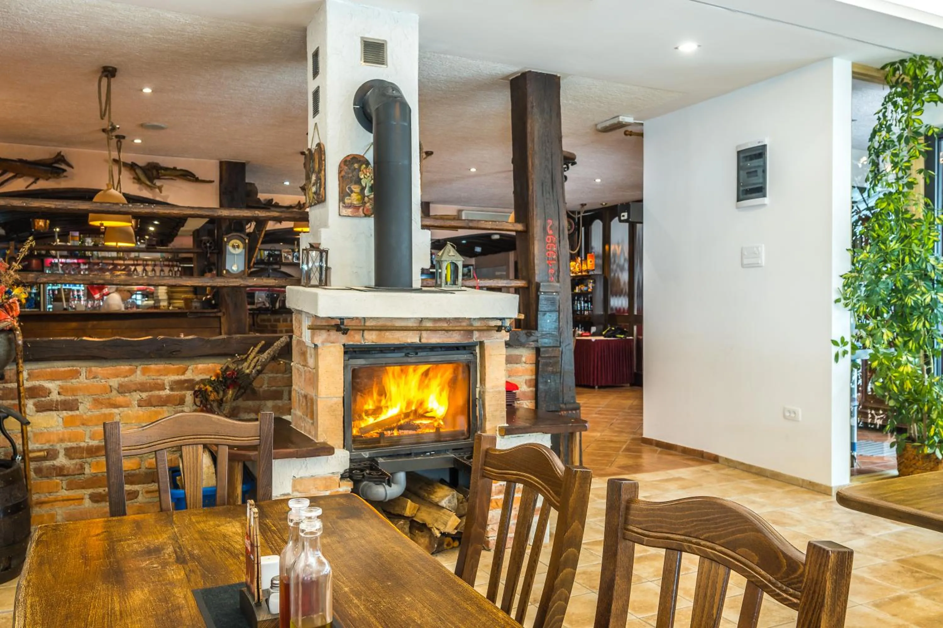 flat iron in Hotel Center Bohinjsko Jezero