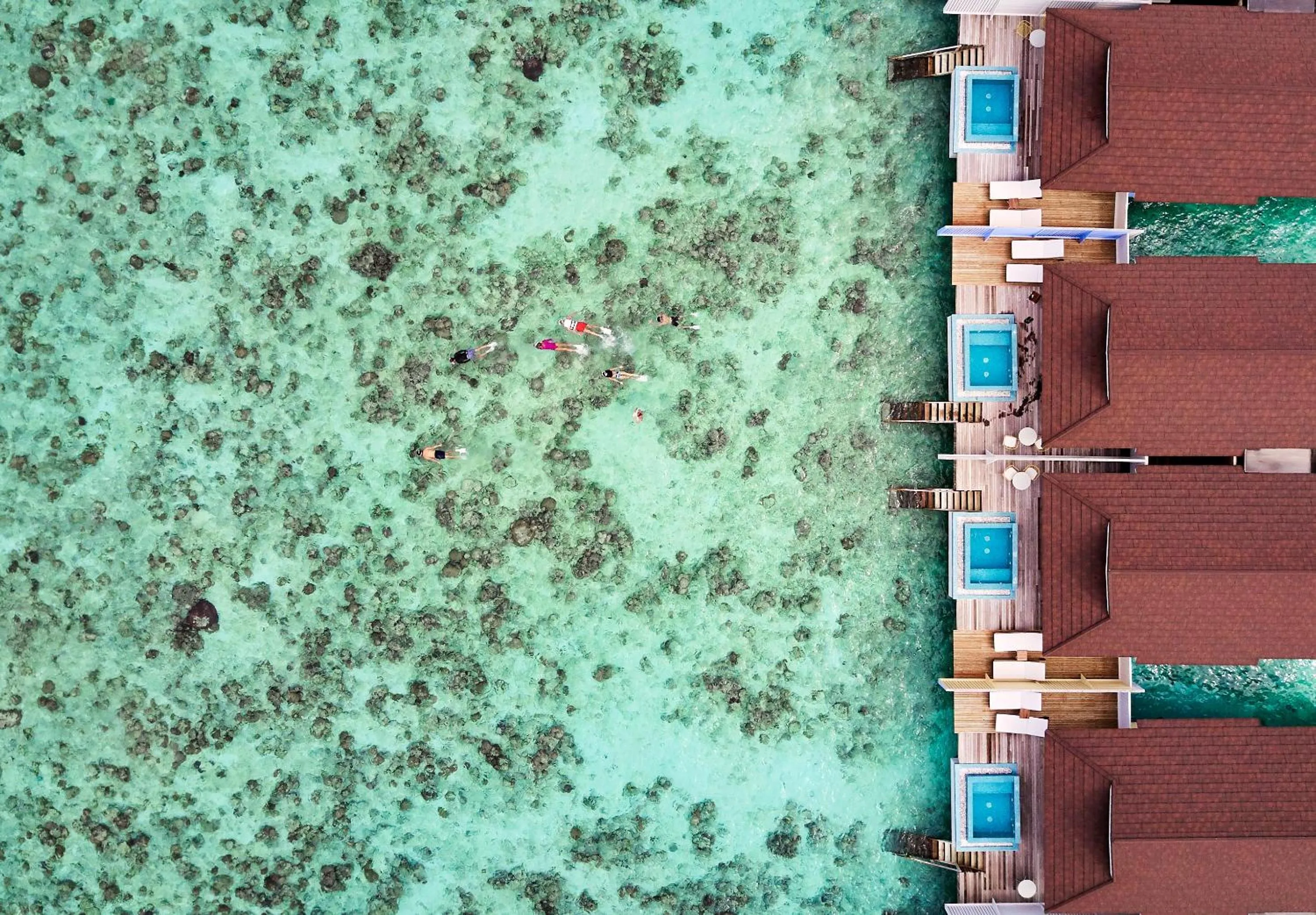 Snorkeling in The Standard, Huruvalhi Maldives