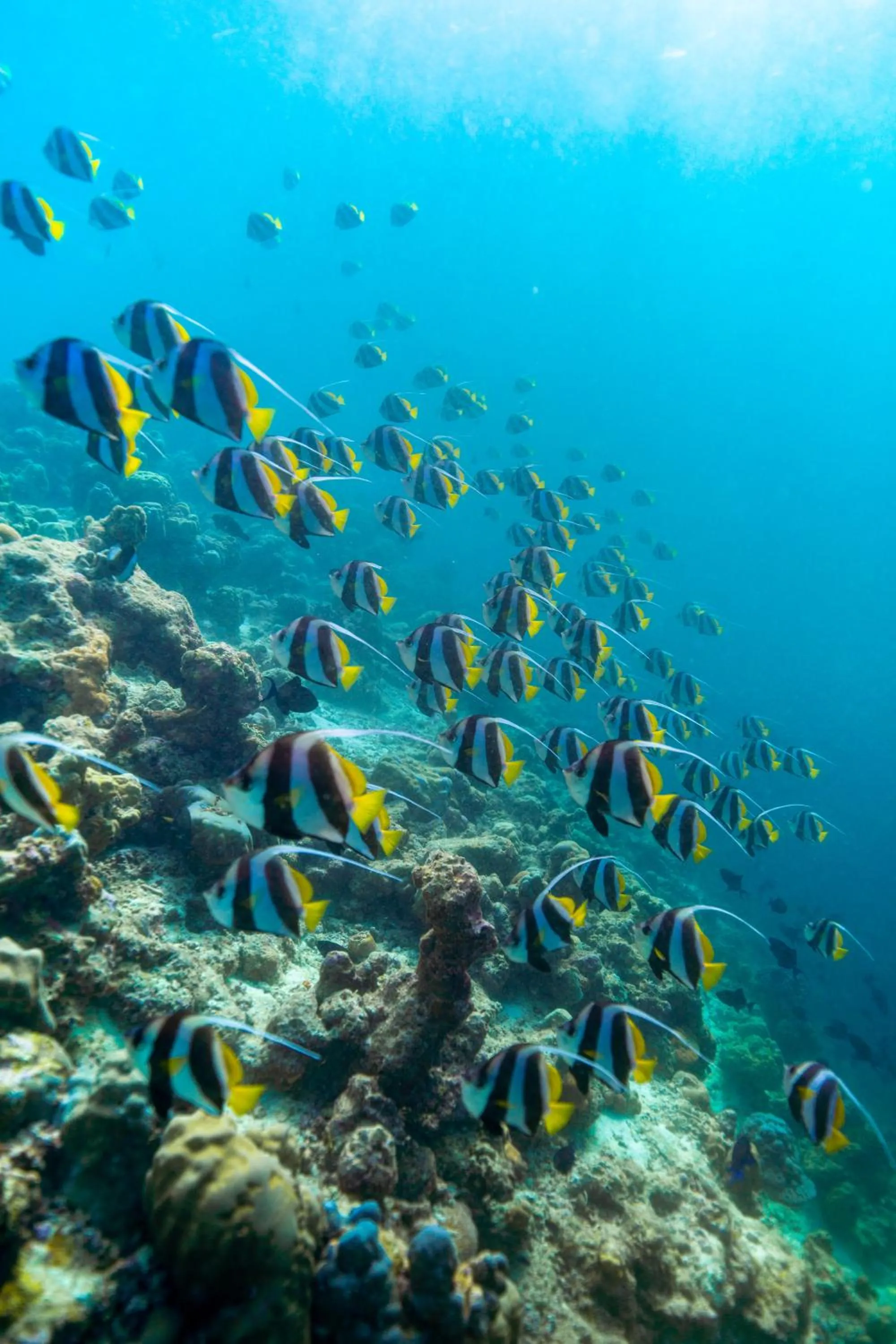 Activities in The Standard, Huruvalhi Maldives