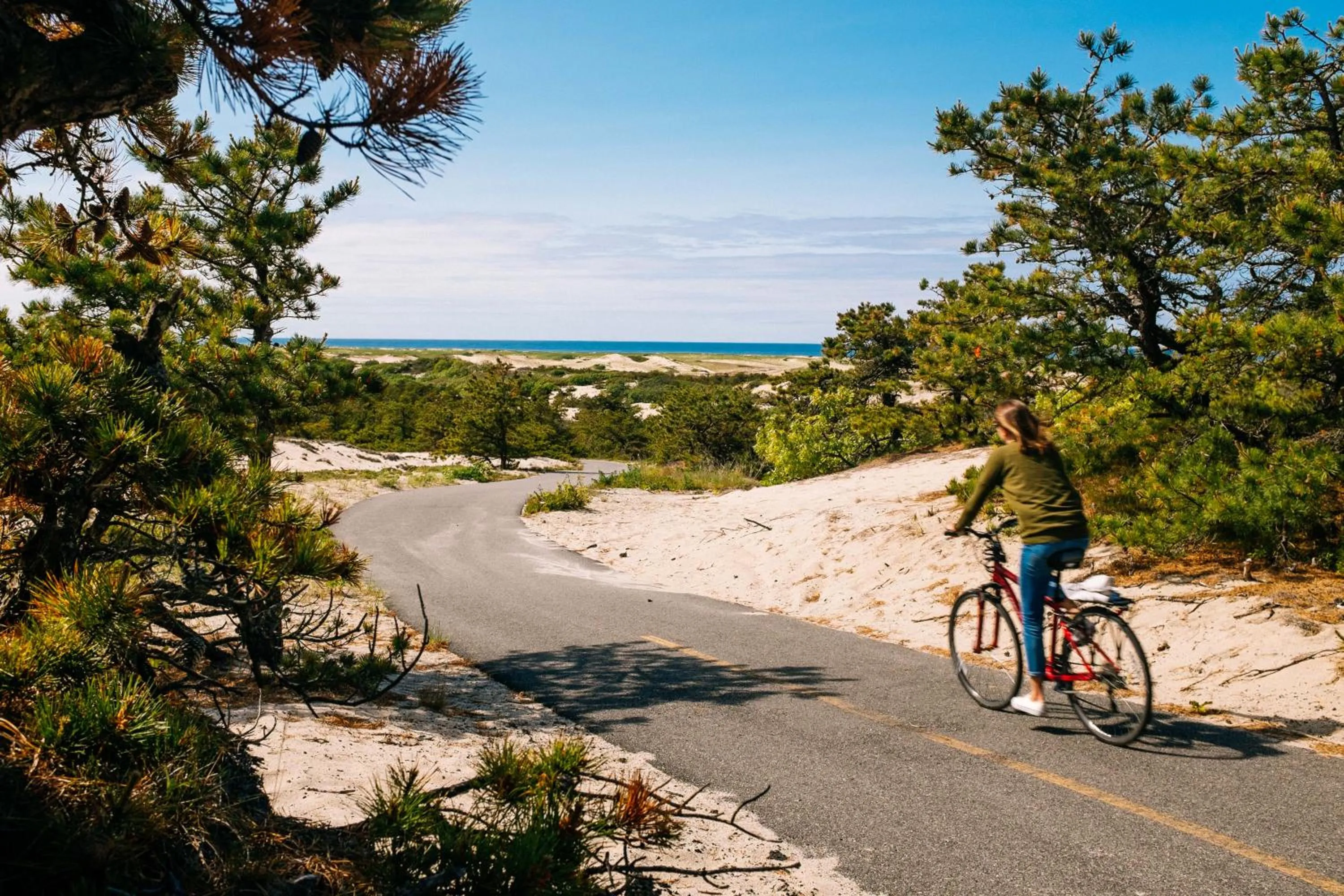 Natural landscape in AWOL Hotel Provincetown
