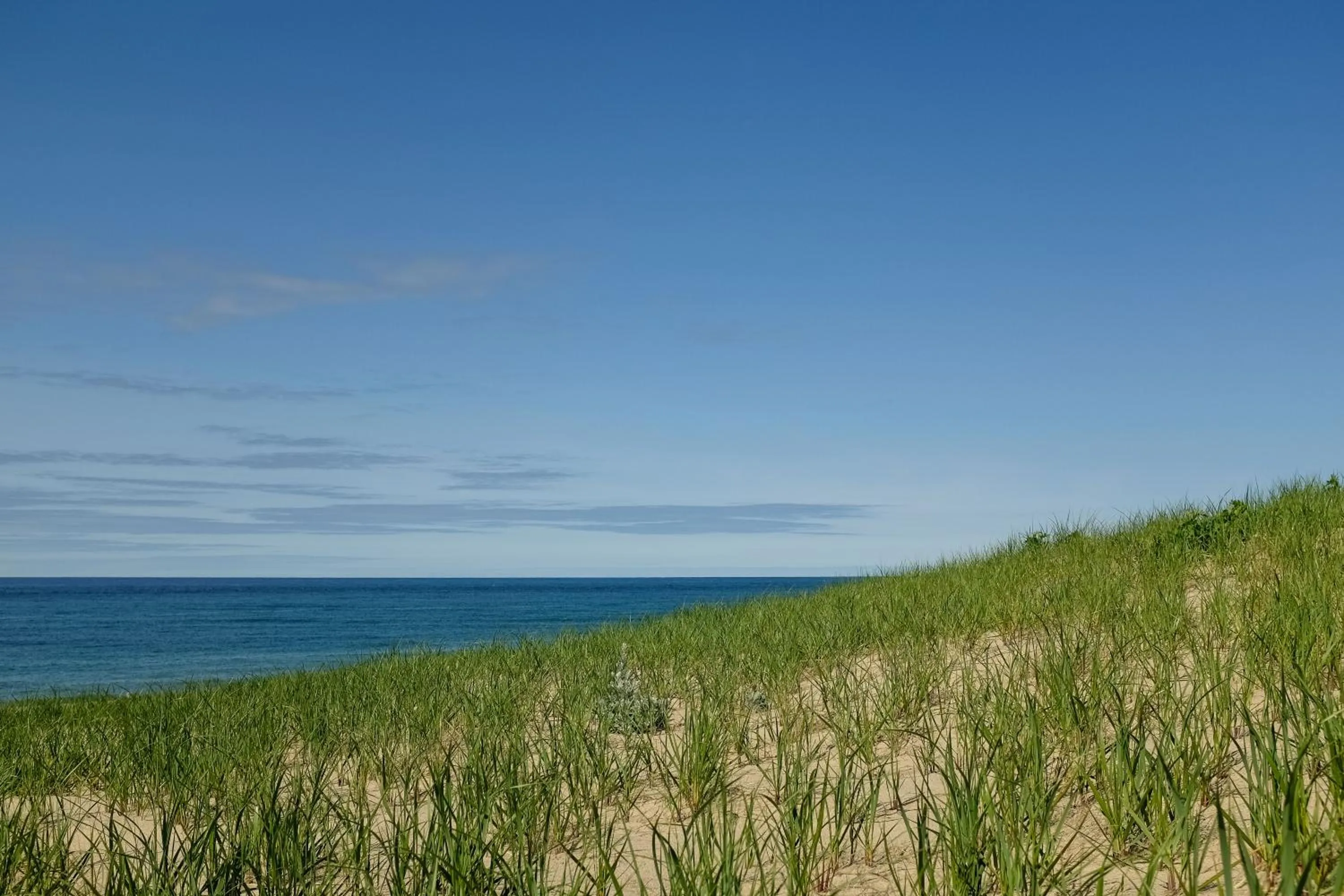 Natural landscape in AWOL Hotel Provincetown