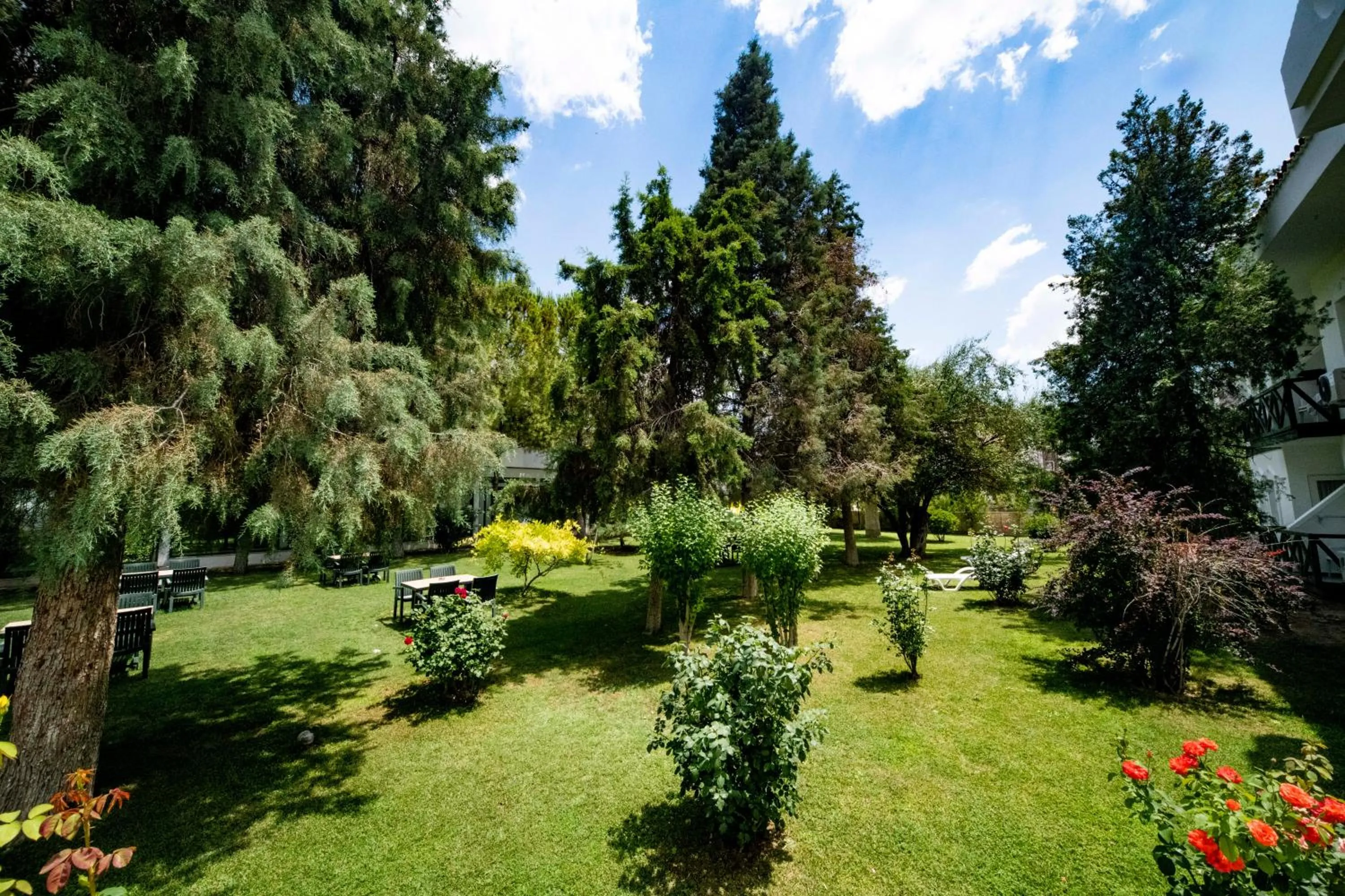 Garden in Herakles Thermal Hotel