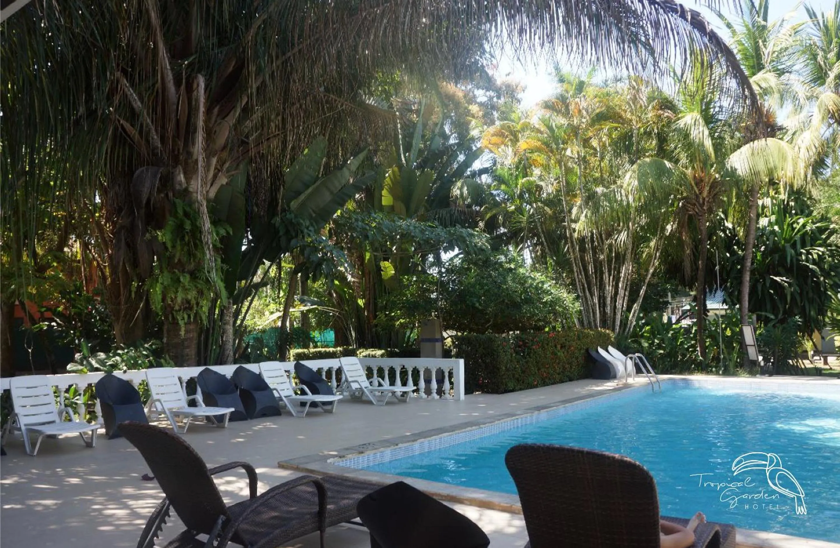 Swimming pool in Tropical Garden Hotel